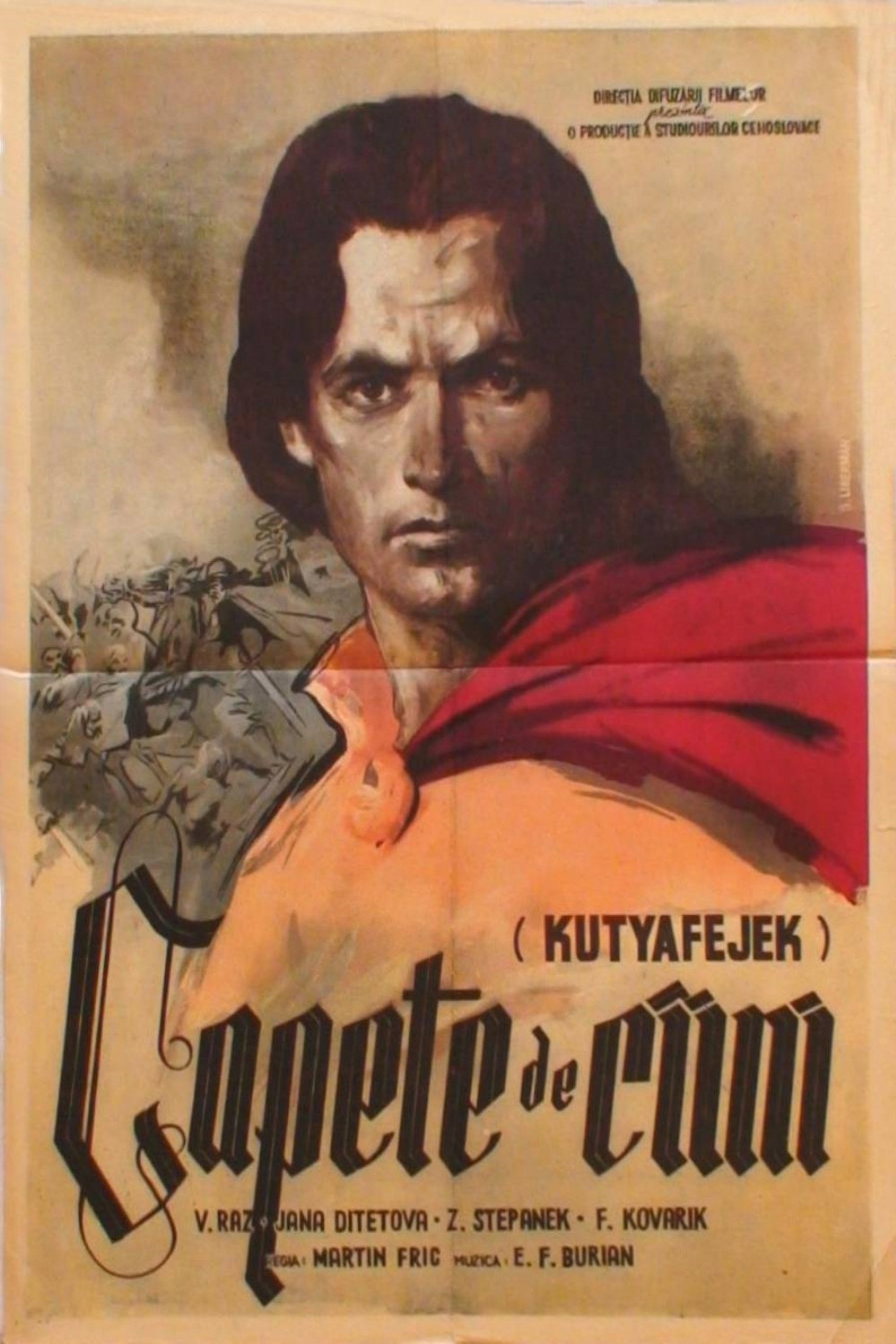 Capete de câini