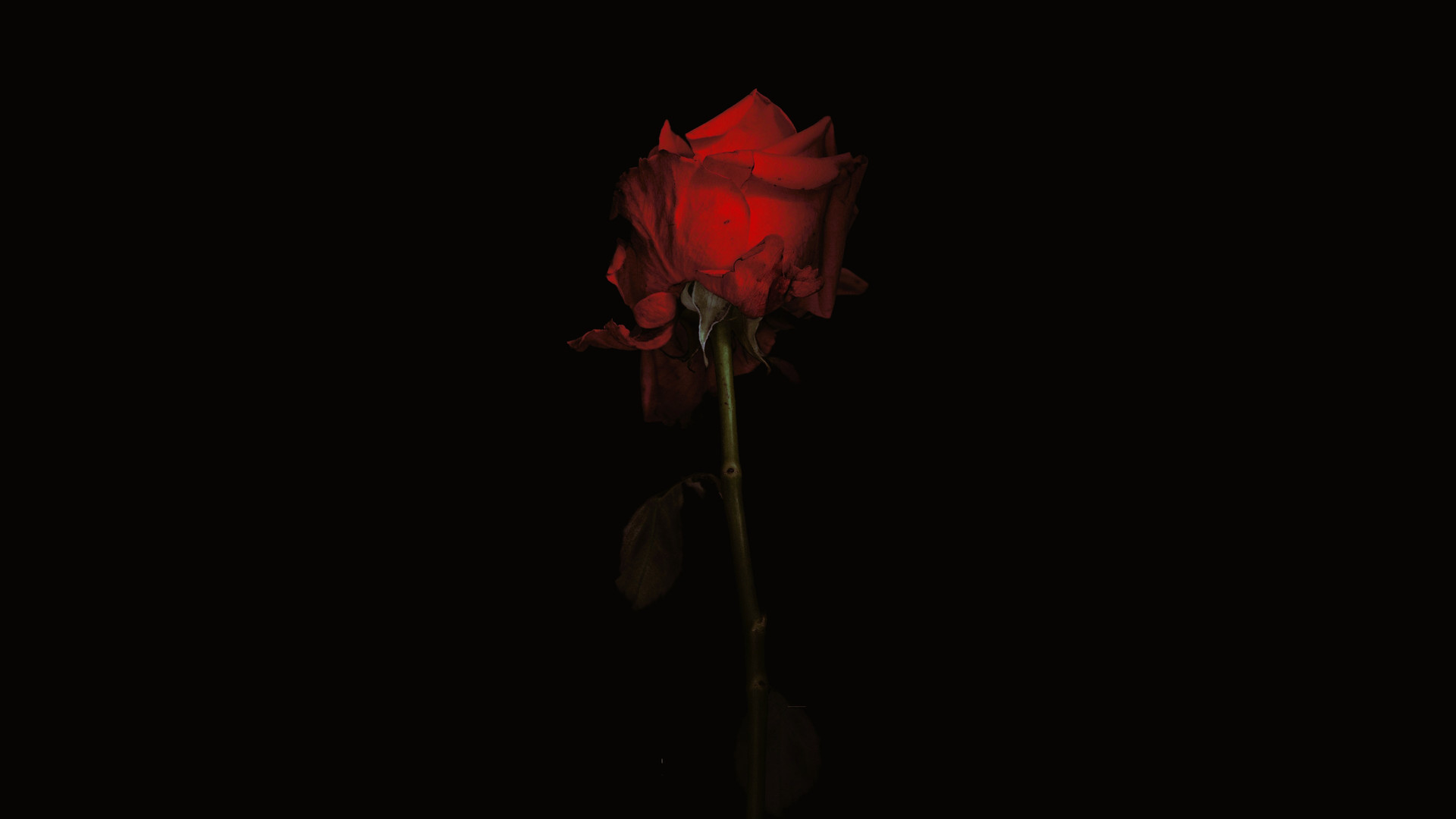오슬로, 8월 31일