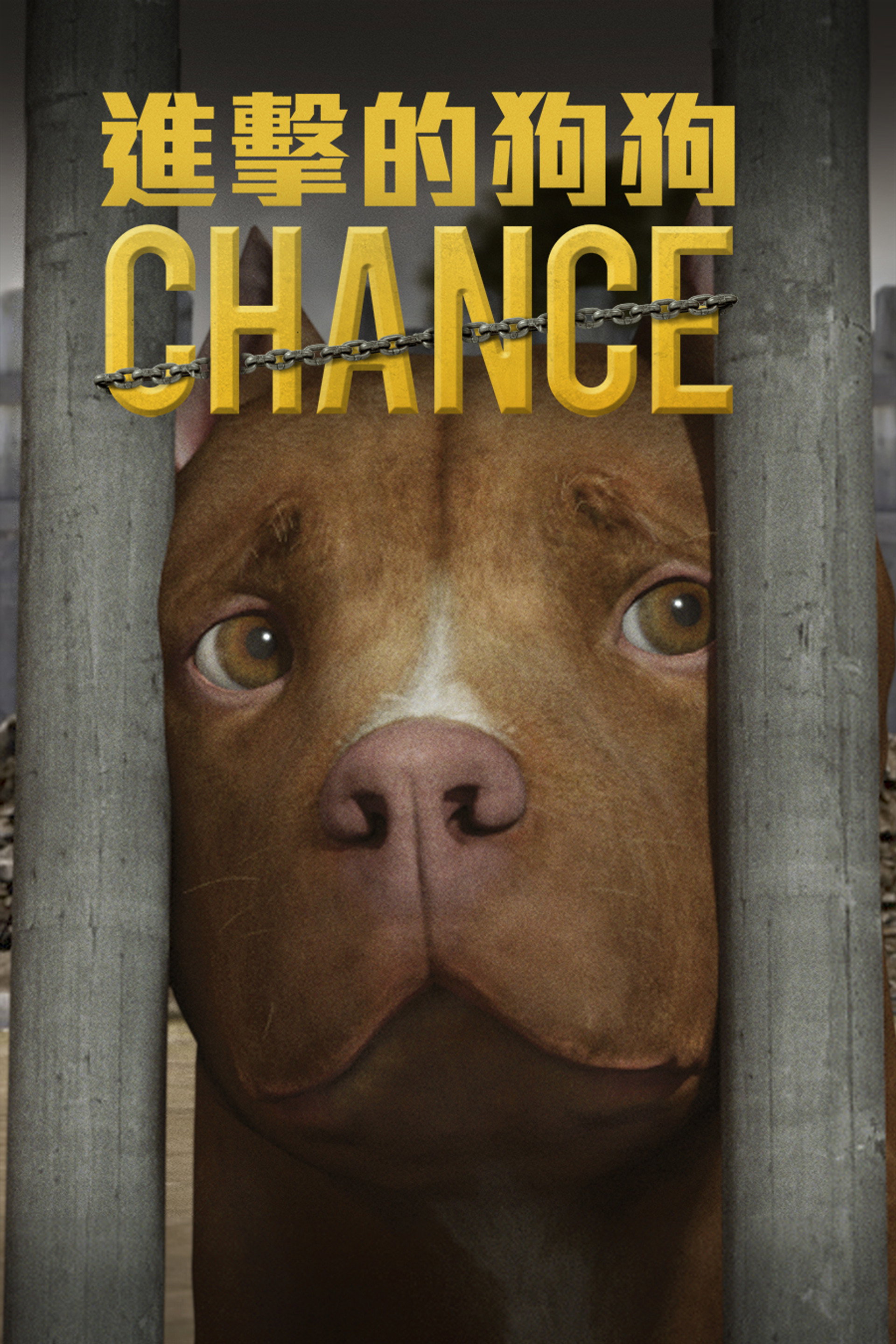 Chance