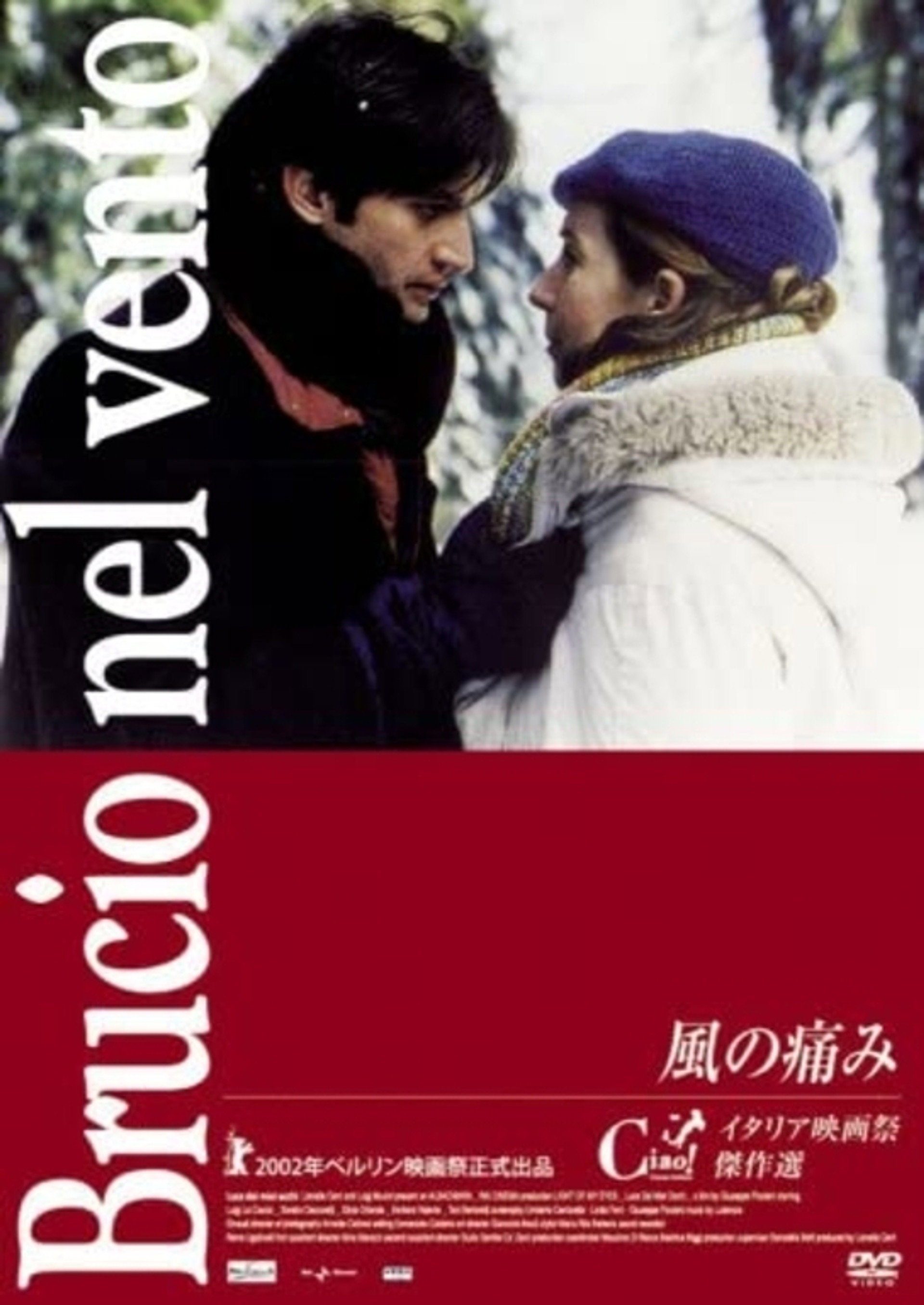 Brucio nel vento