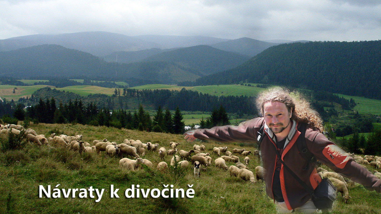 Návraty k divočině
