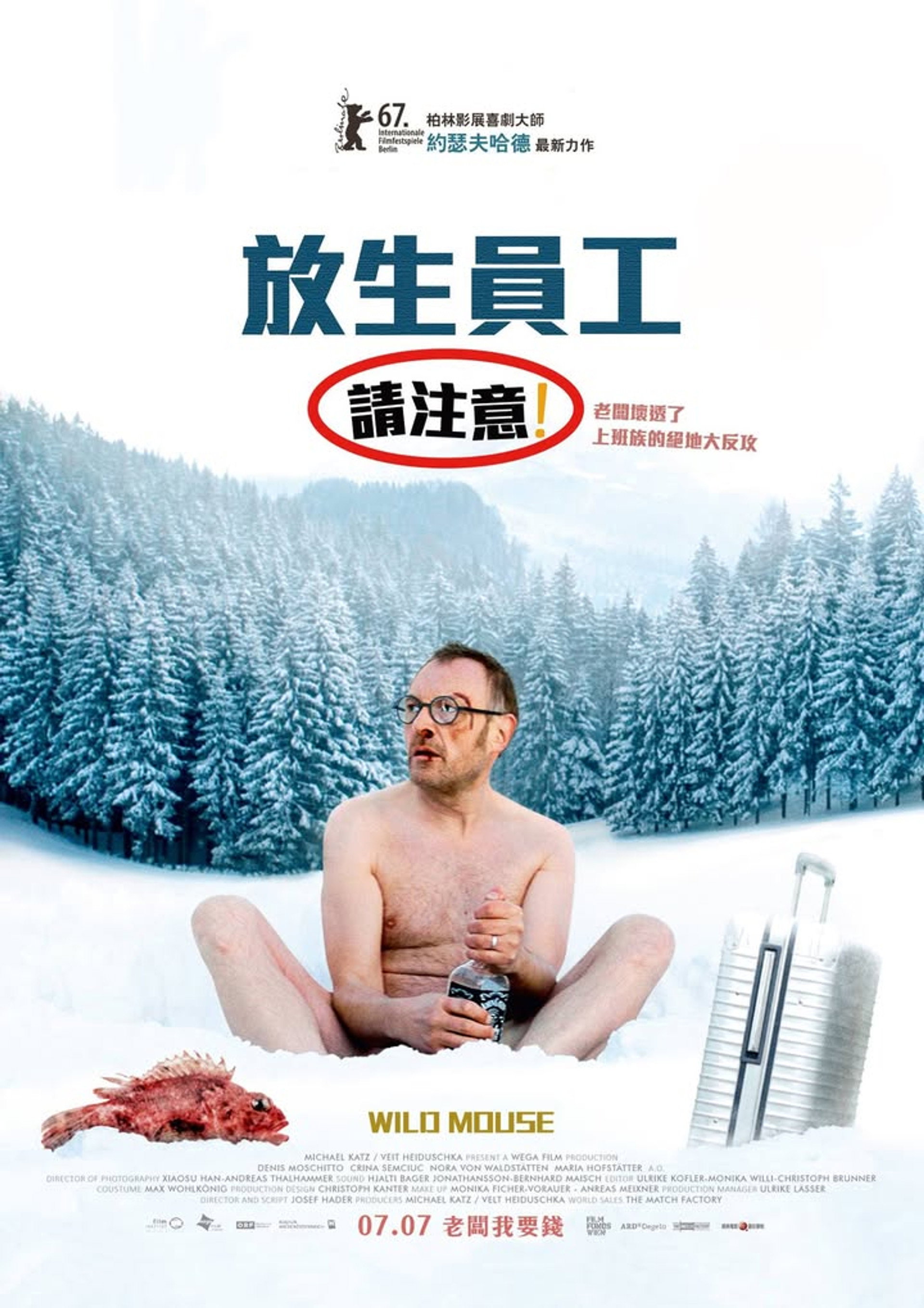 疯狂的老鼠