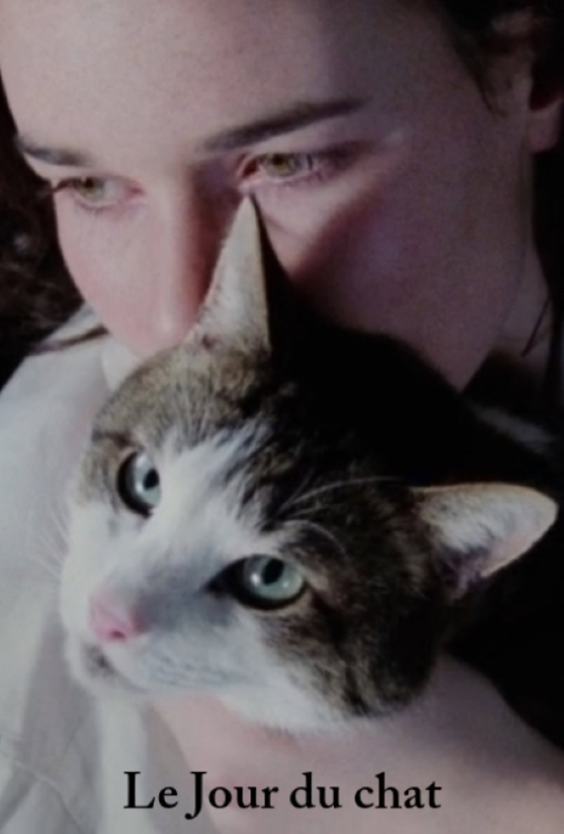 Le jour du chat