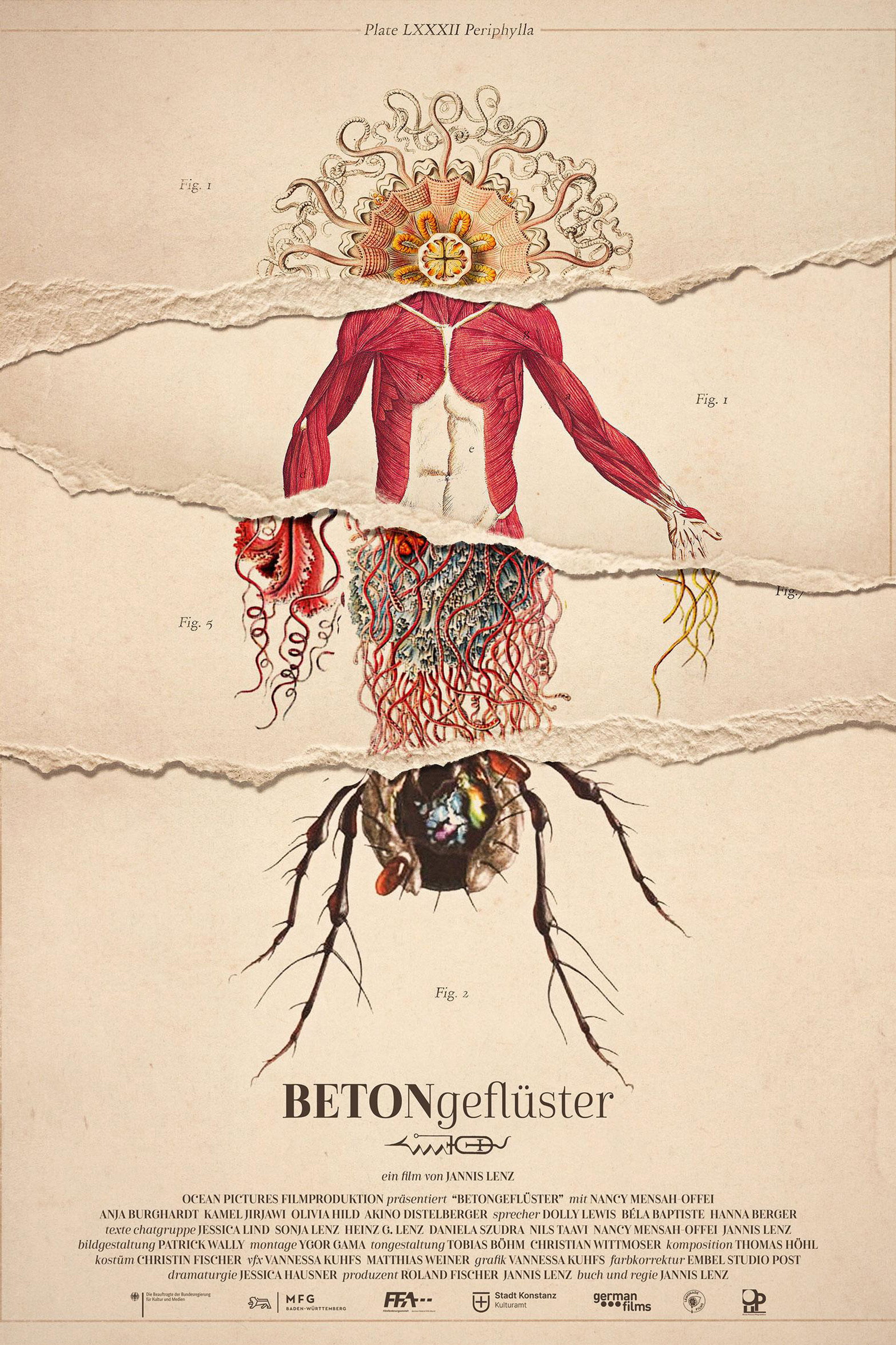 Betongeflüster