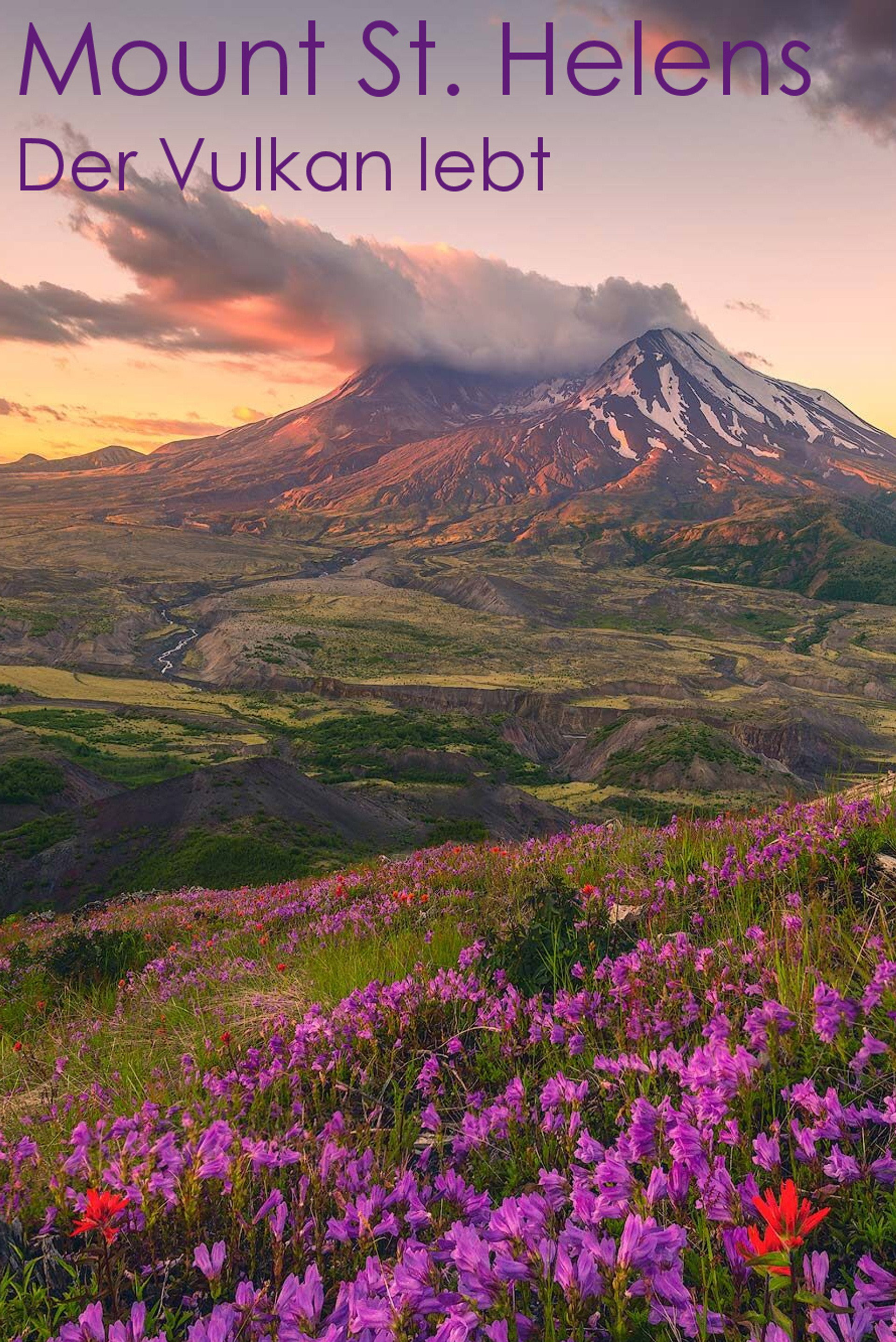 Mount St. Helens - Der Vulkan lebt