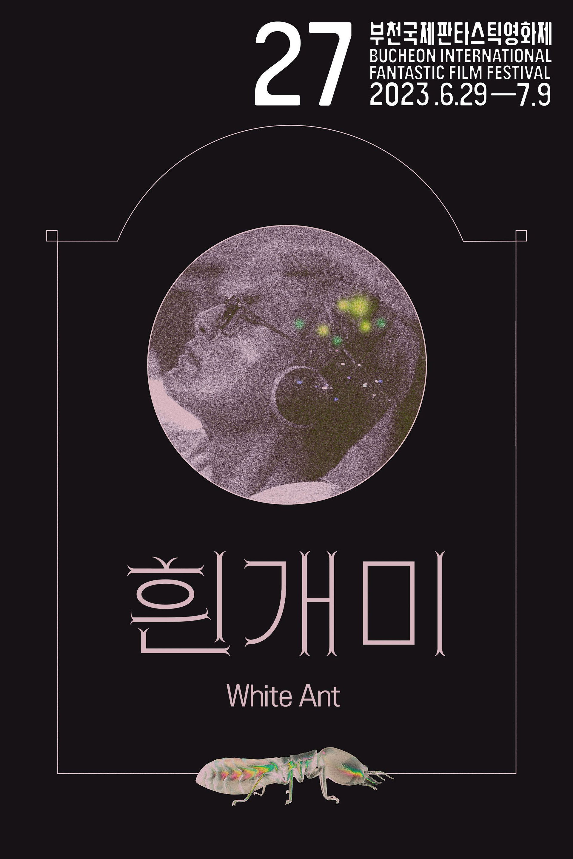 흰개미