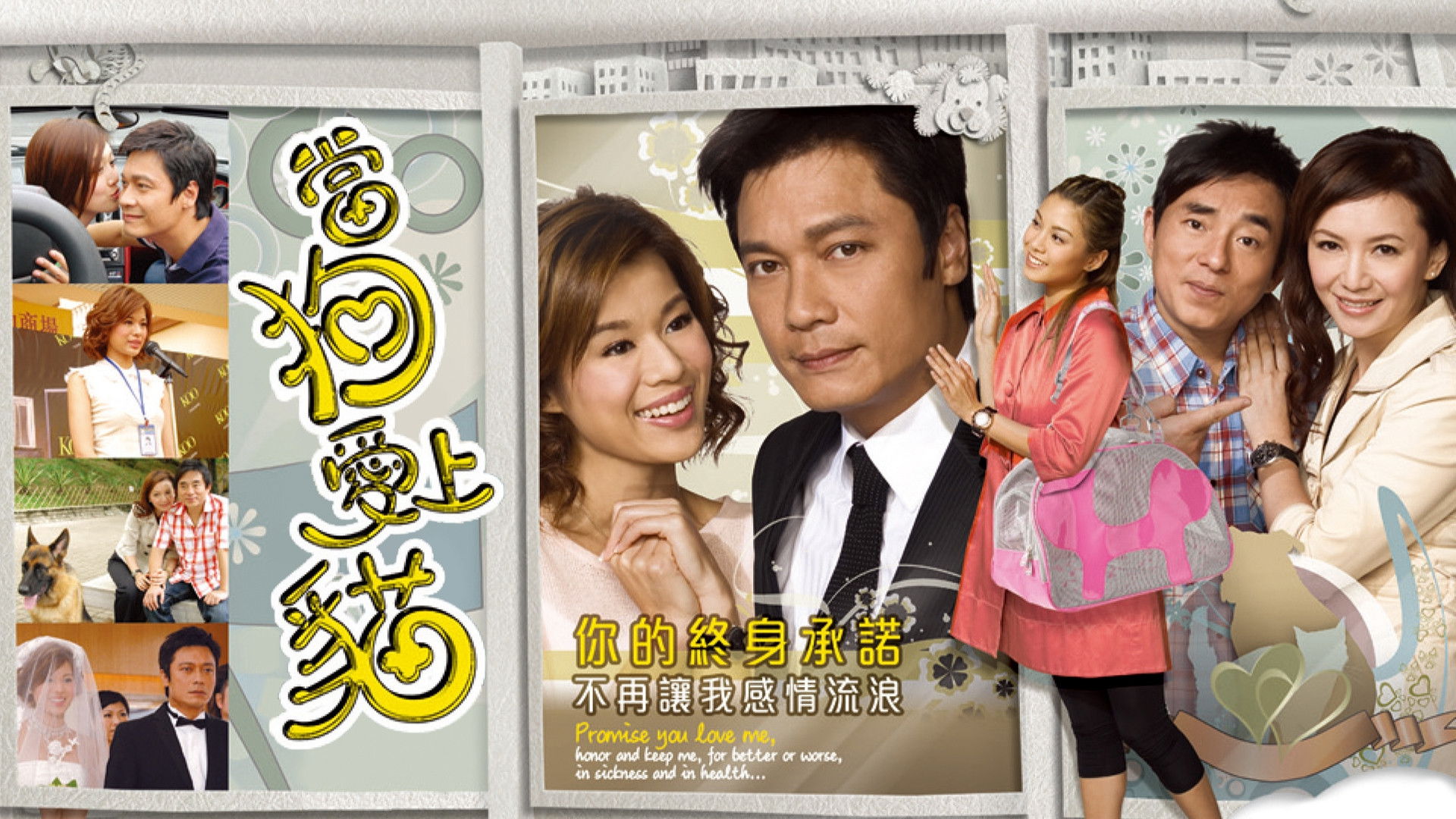 When a Dog Loves a Cat