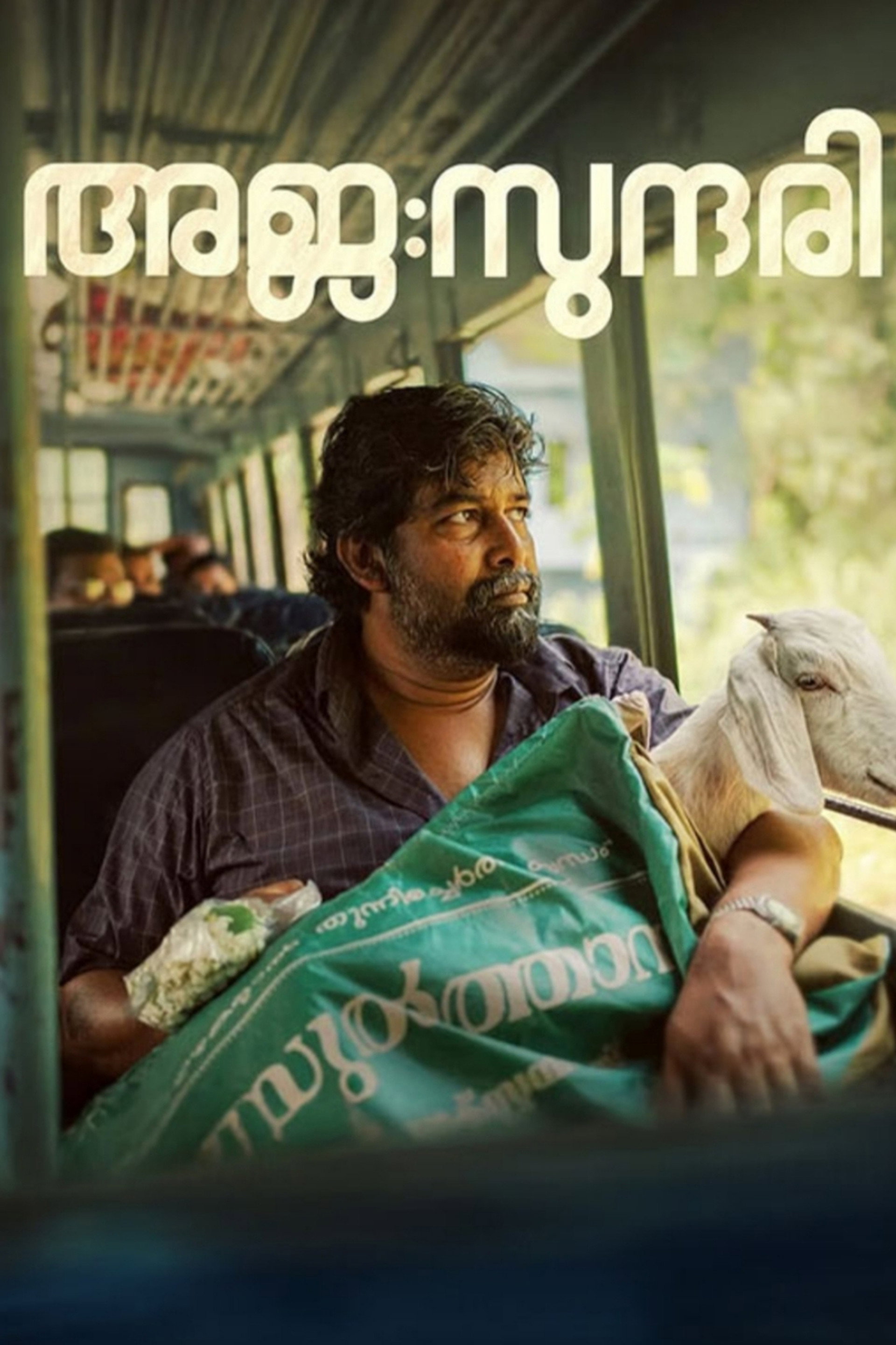 അജ : സുന്ദരി