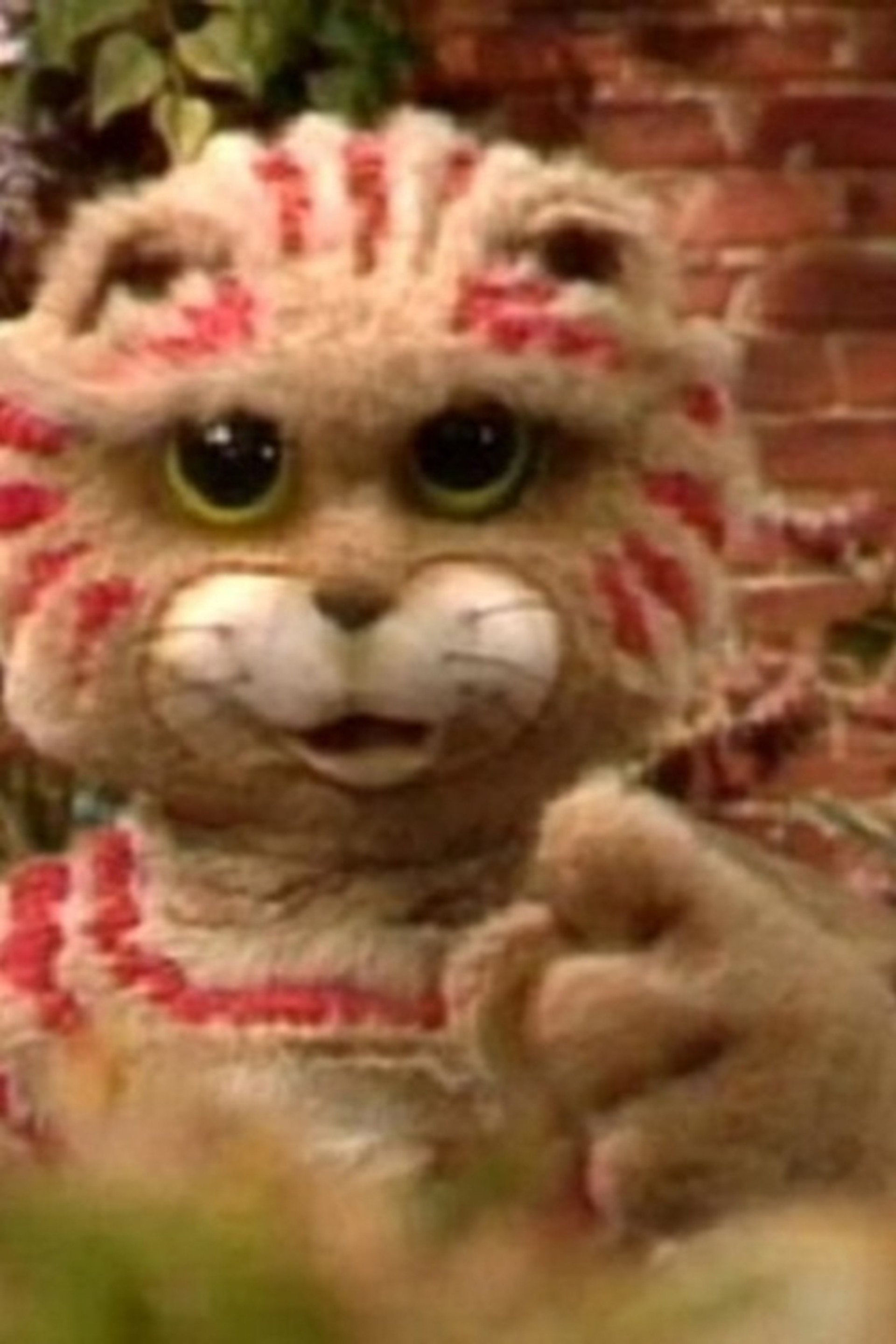 Kitty Cats