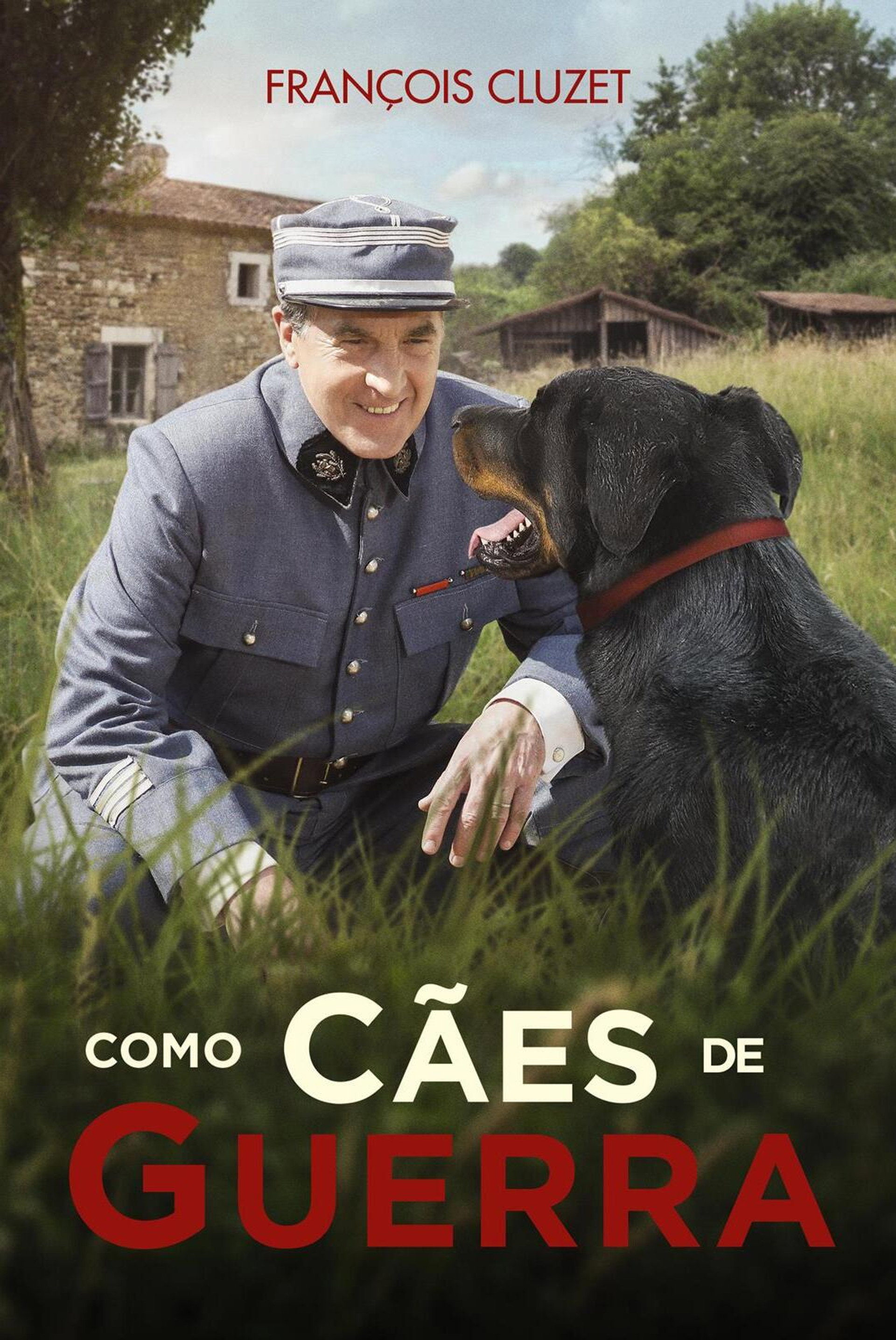 Como Cães de Guerra
