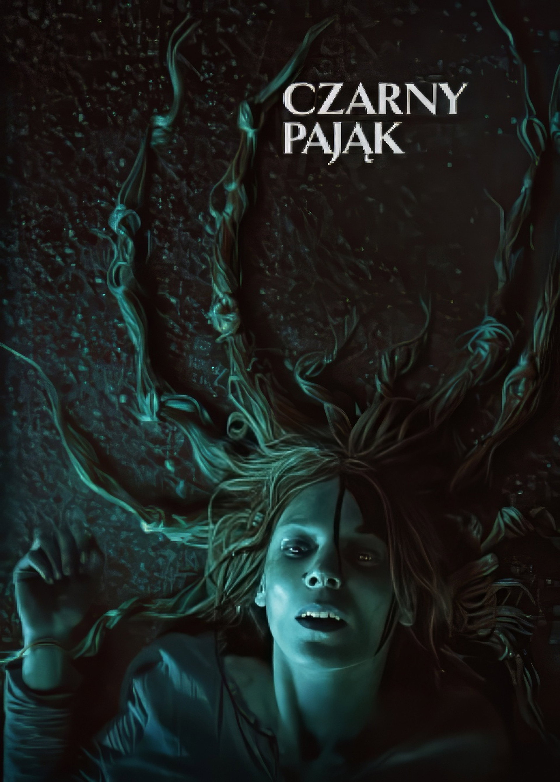 Czarny pająk
