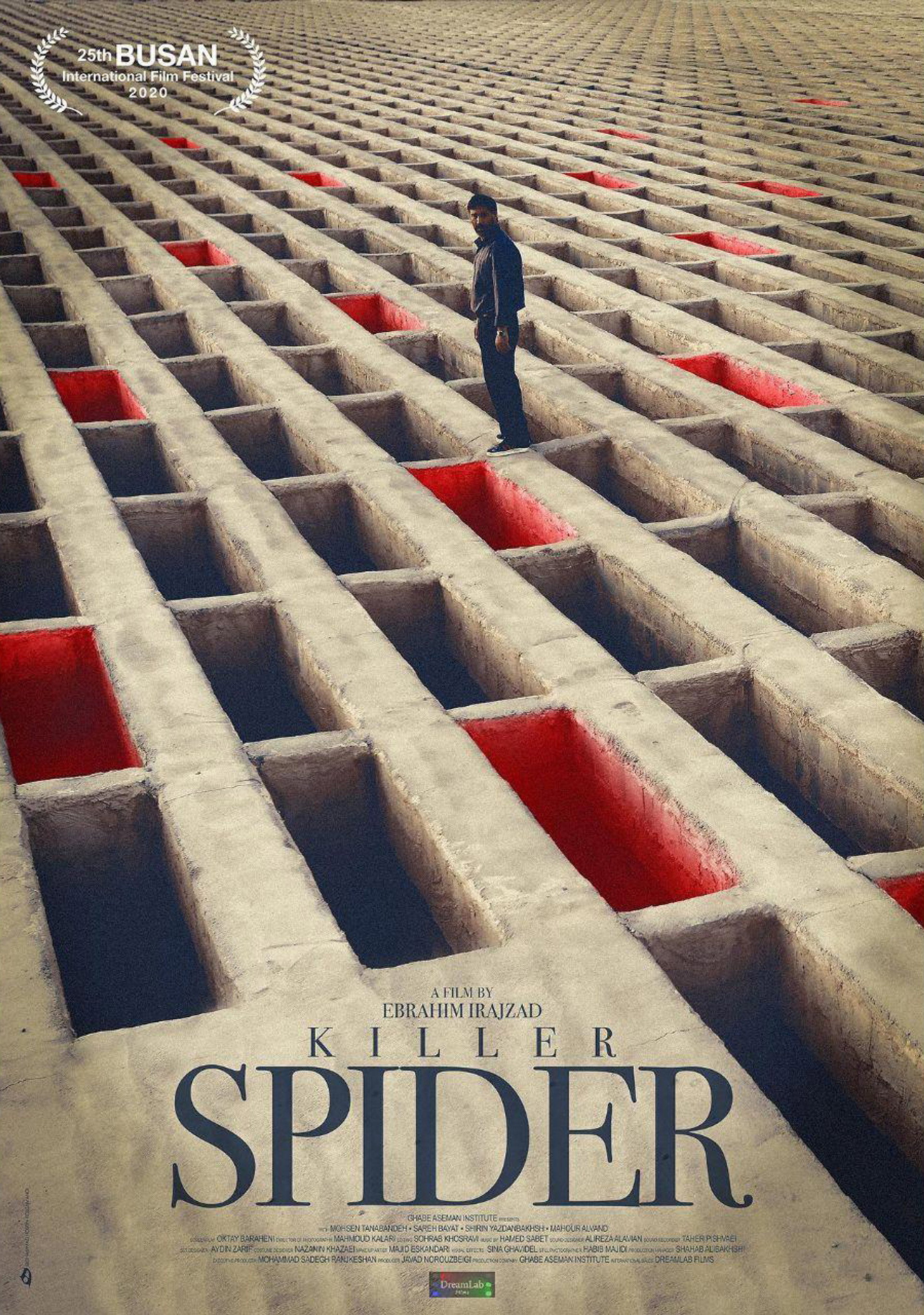 Killer spider