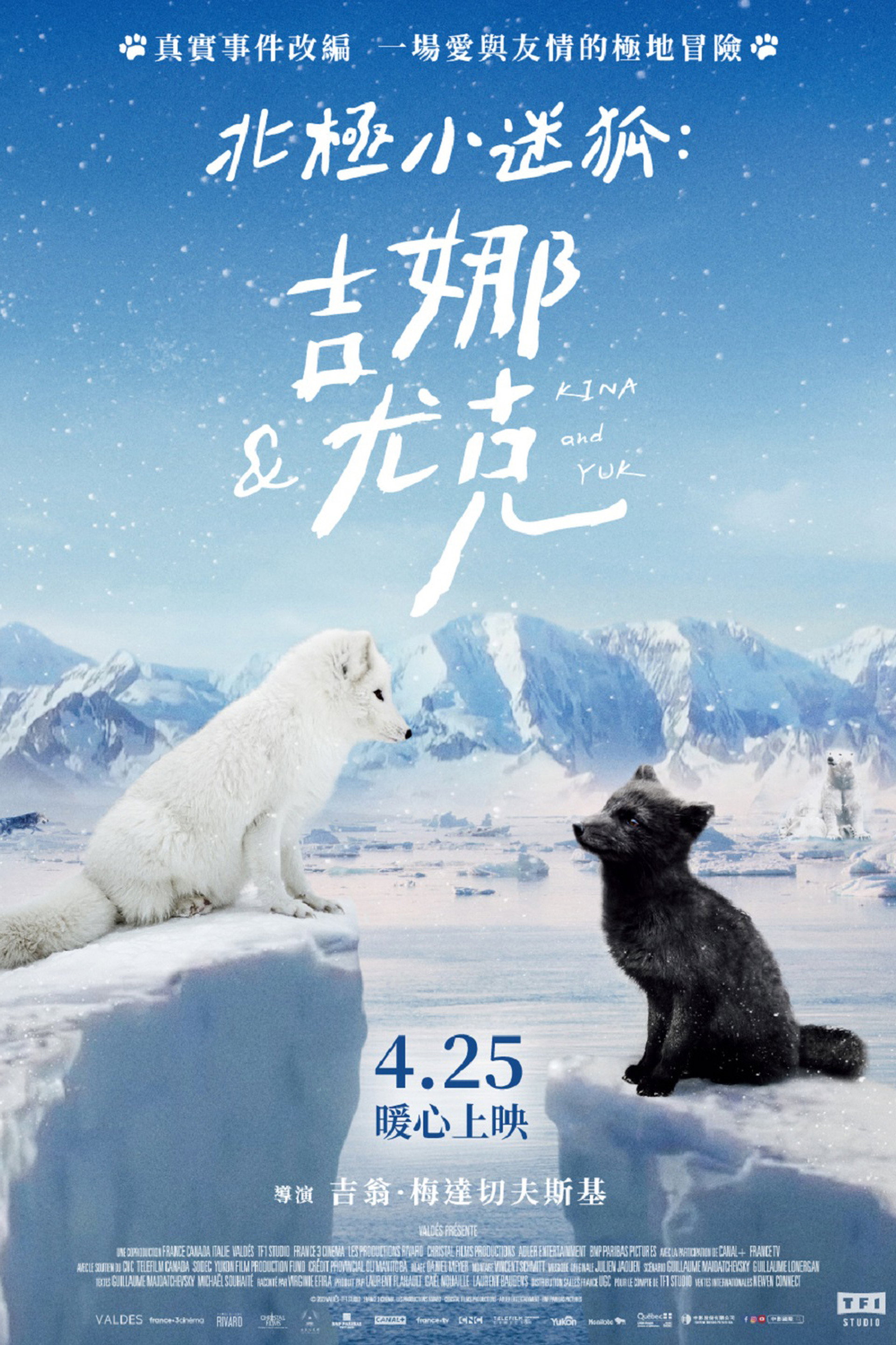 北极小迷狐吉娜&尤克