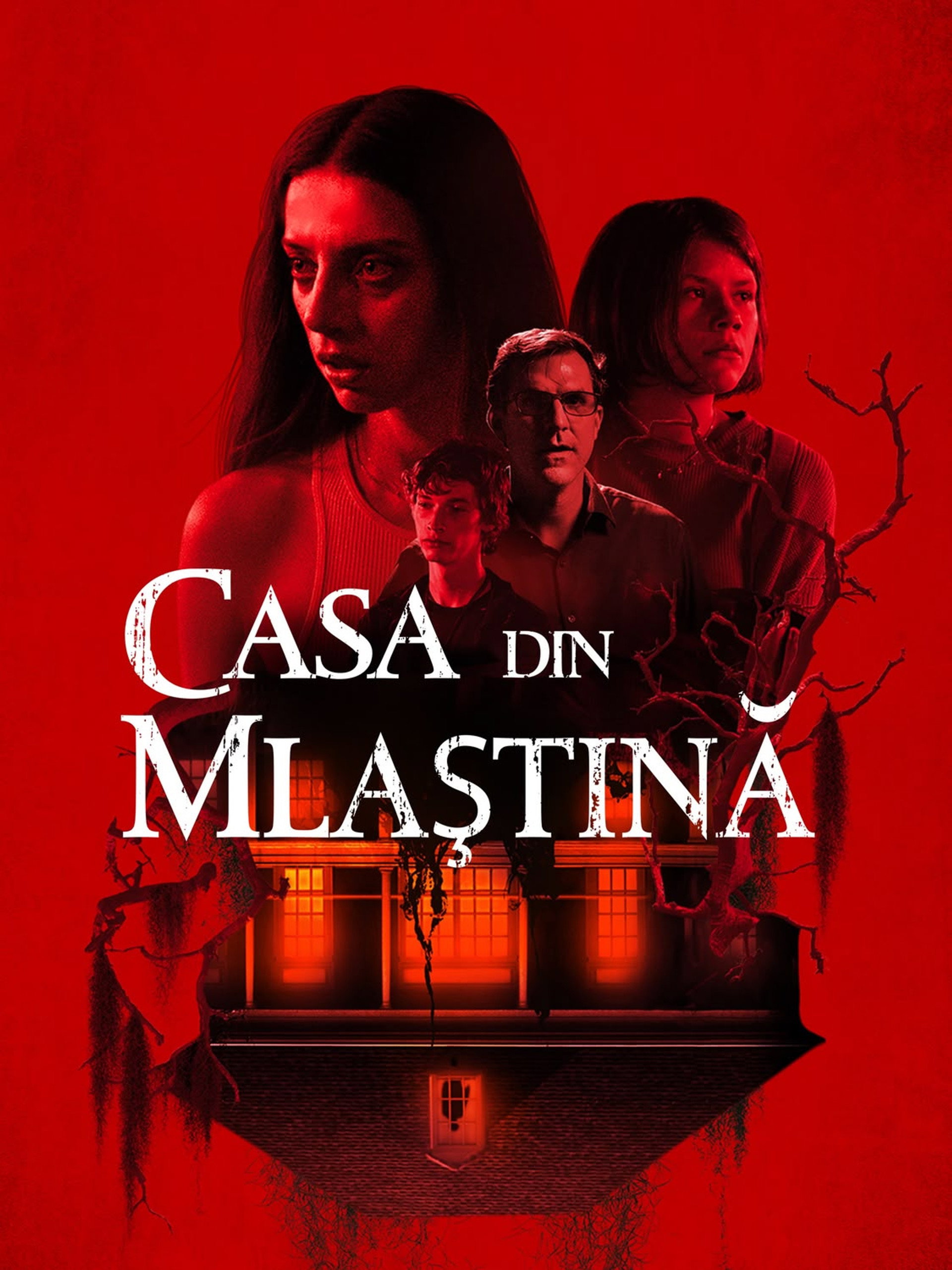 Casa din mlaștină