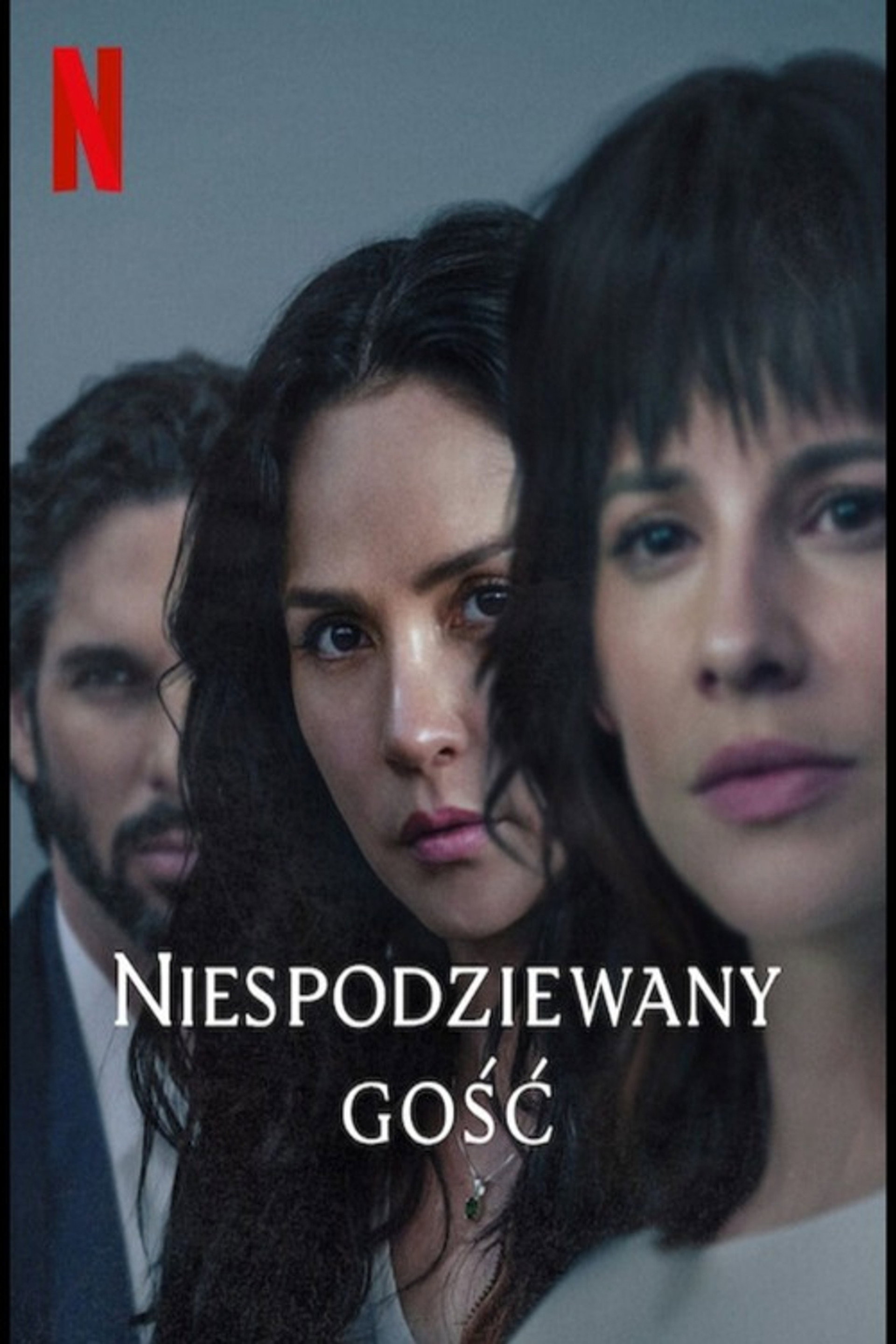 Niespodziewany gość