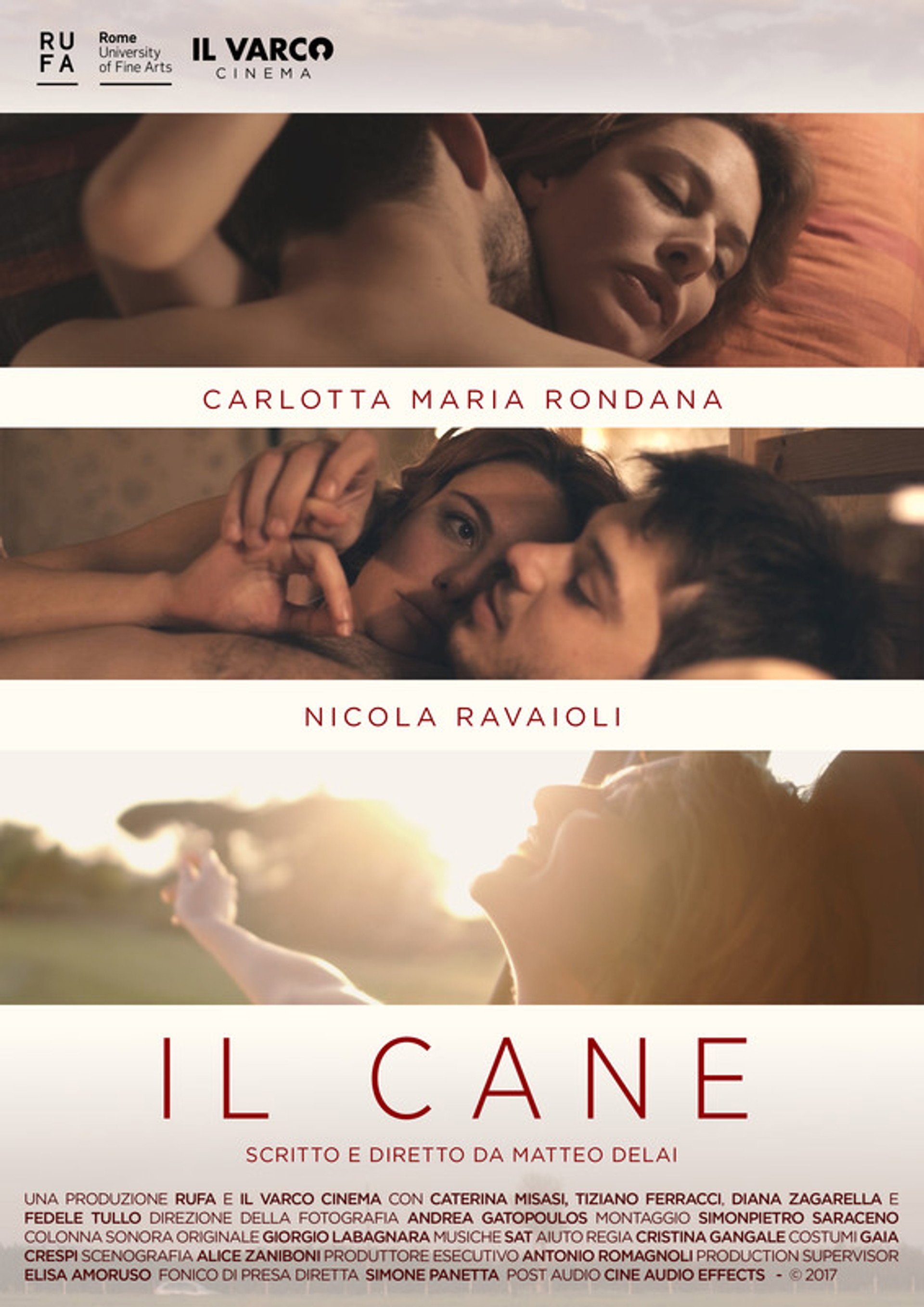 Il cane