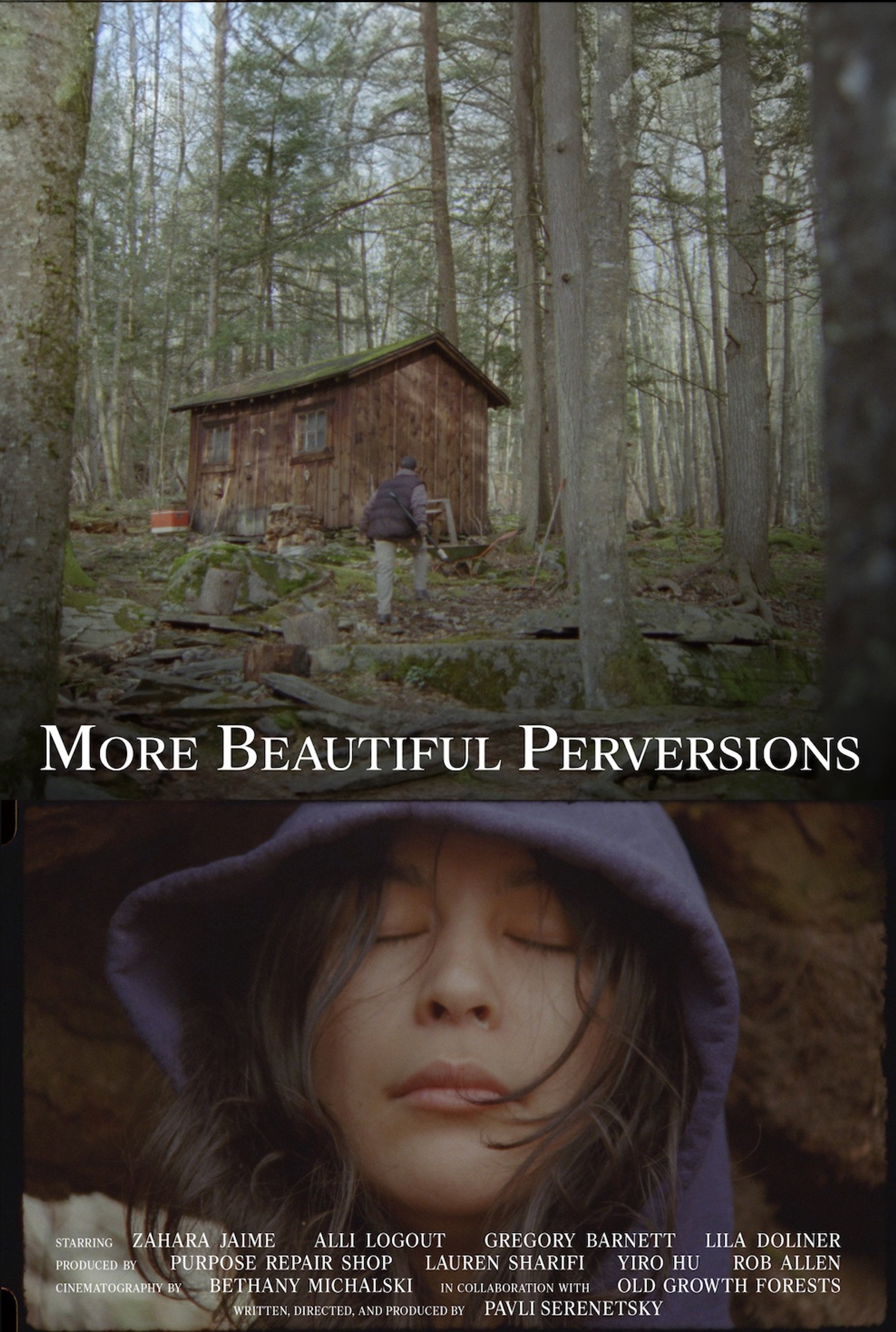 More Beautiful Perversions