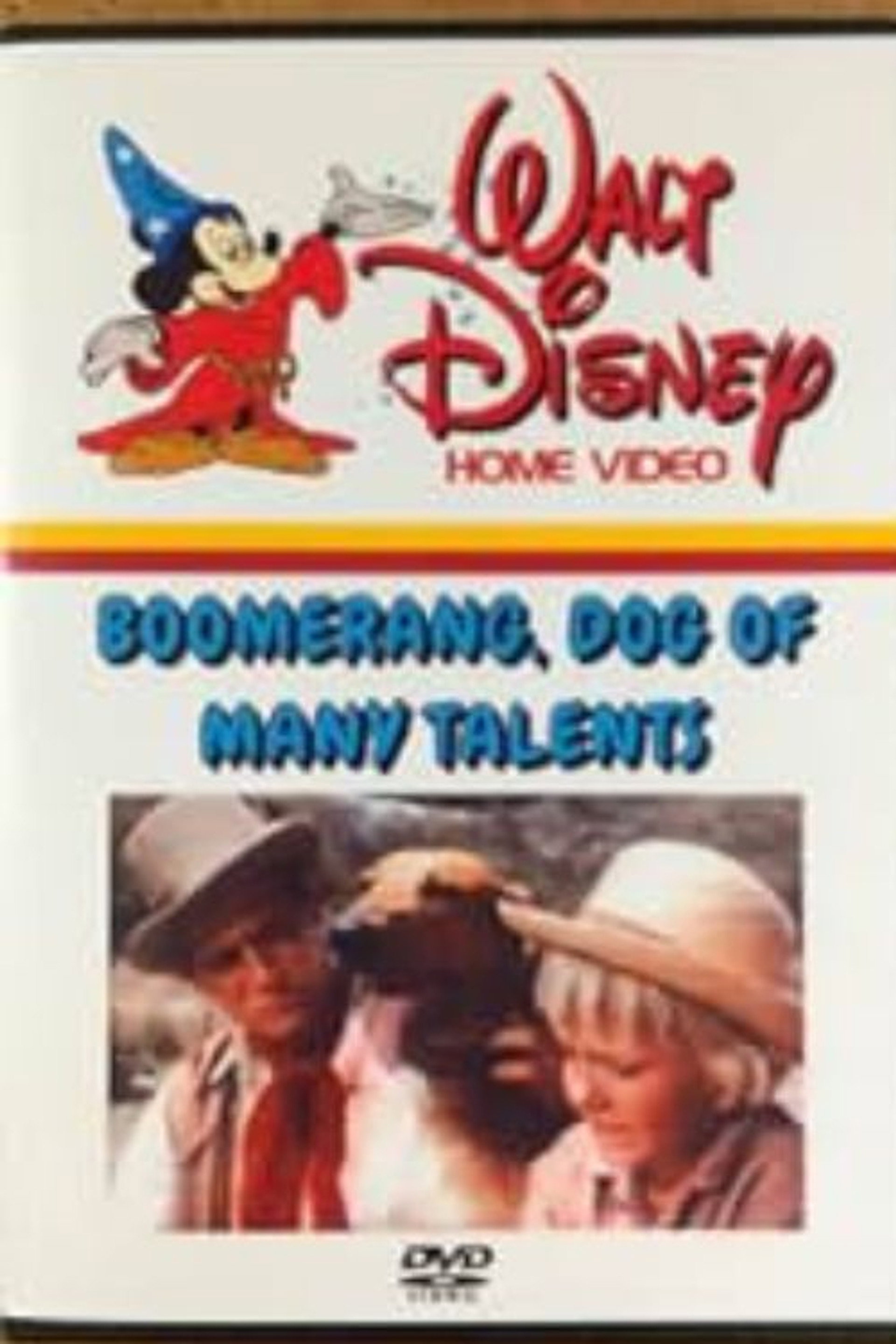 Boomerang, Dog of Many Talents