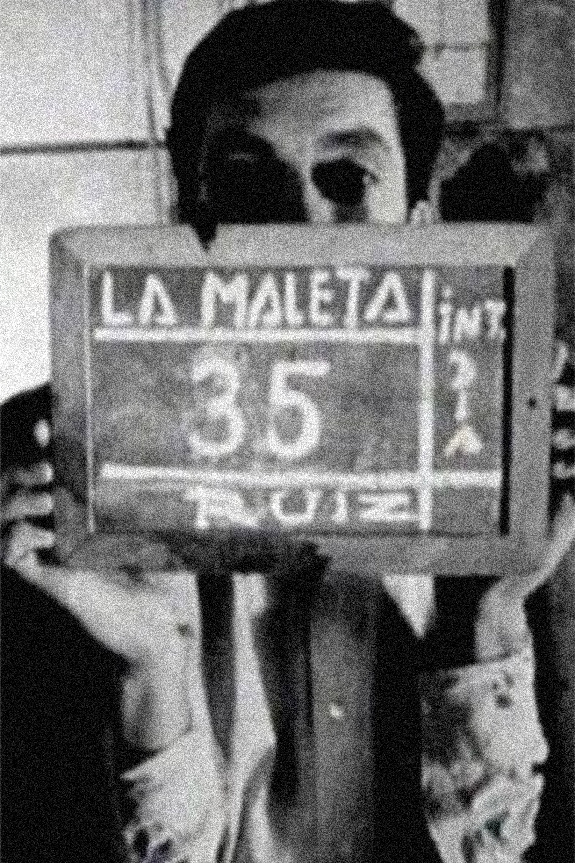 The Suitcase