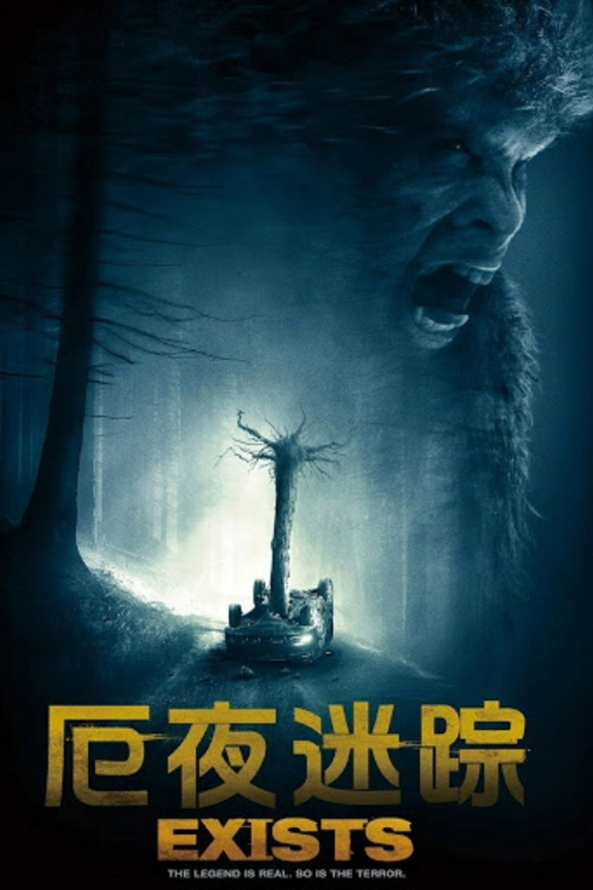 灵异存在