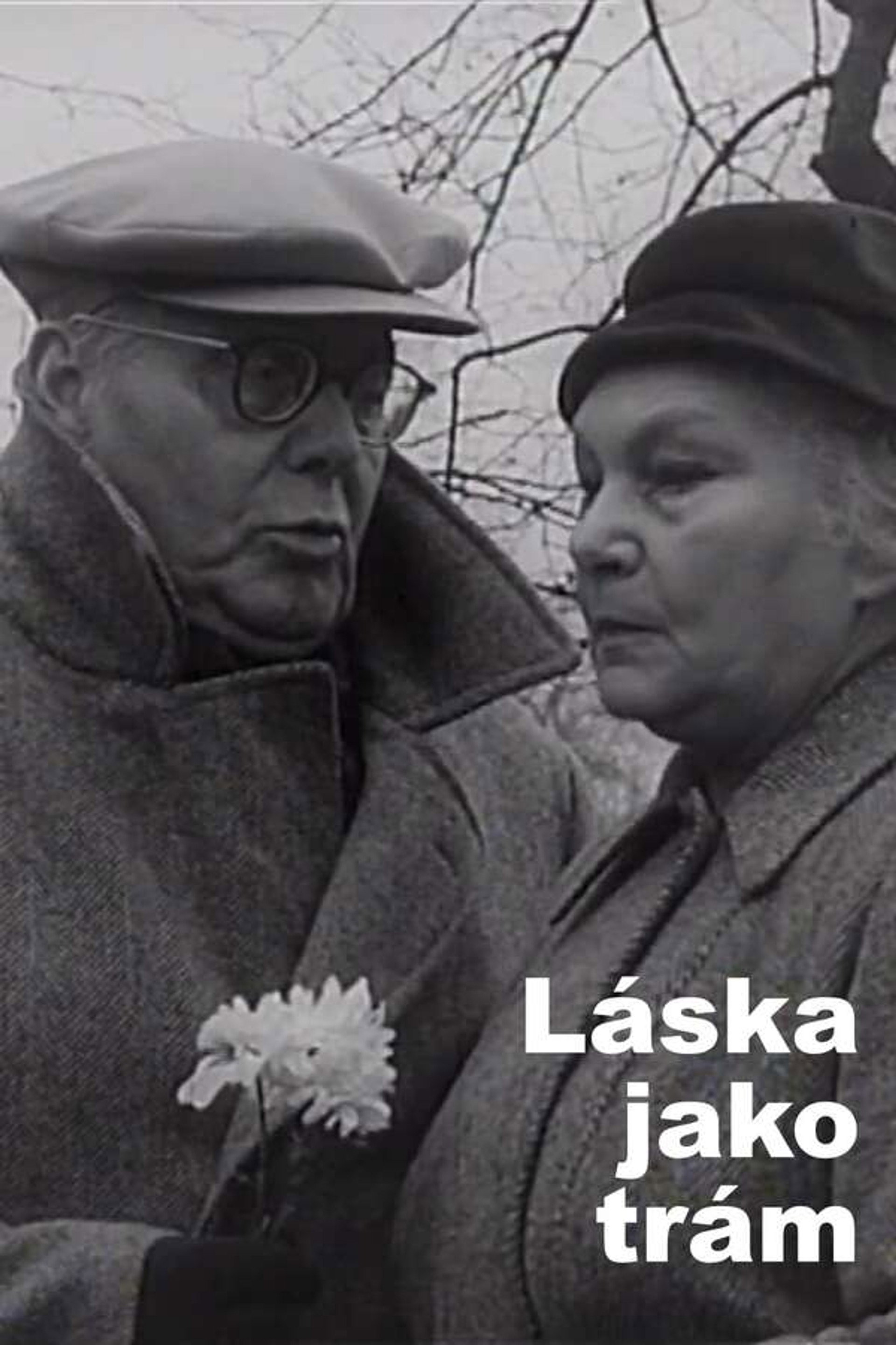 Láska jako trám