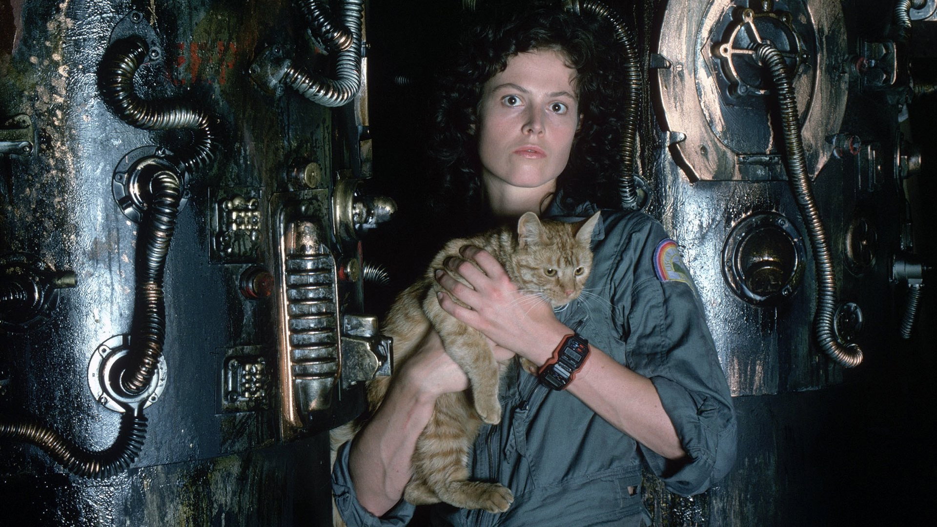 Alien (1979) - visual quiz clue - frame 5