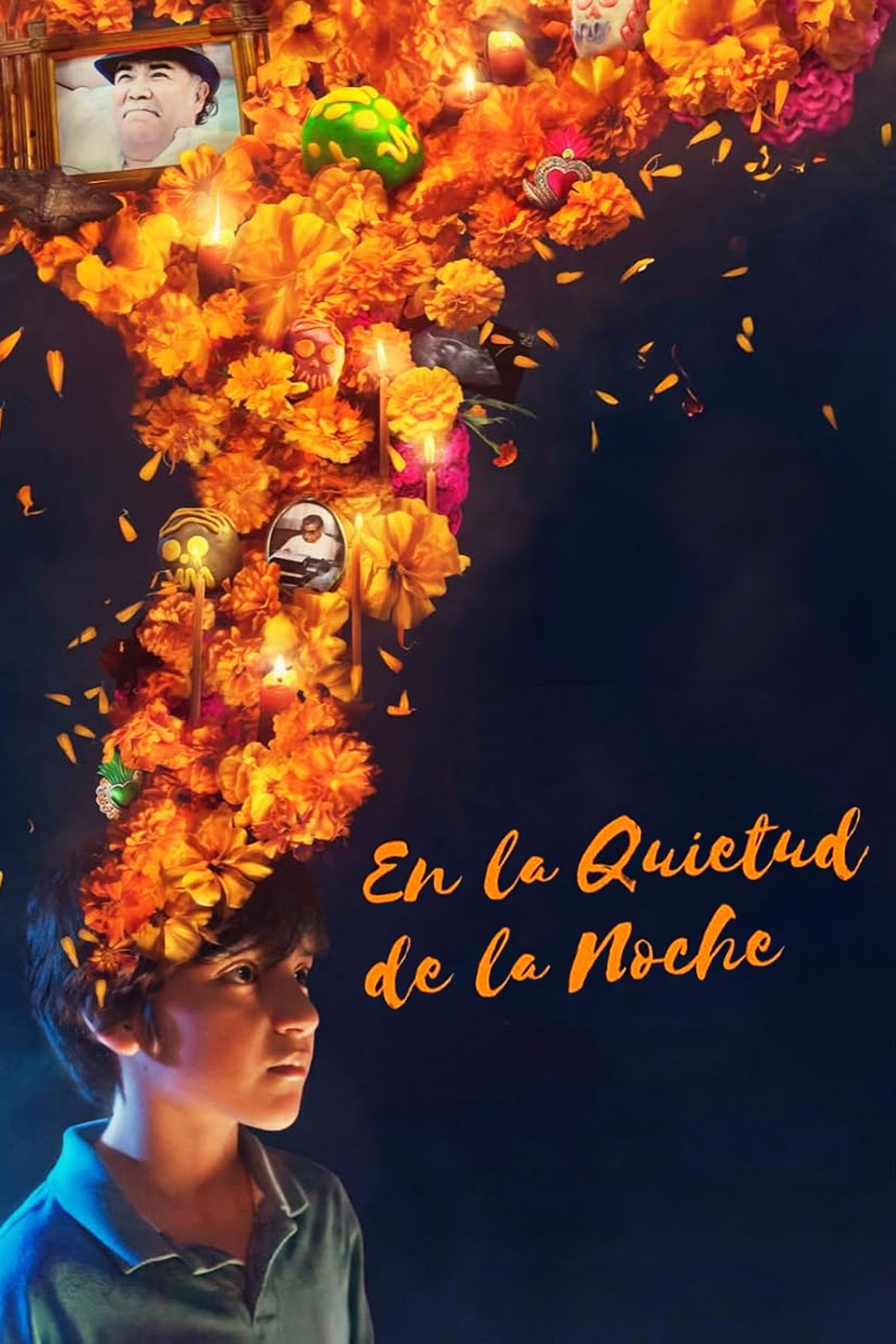 En la Quietud de la Noche