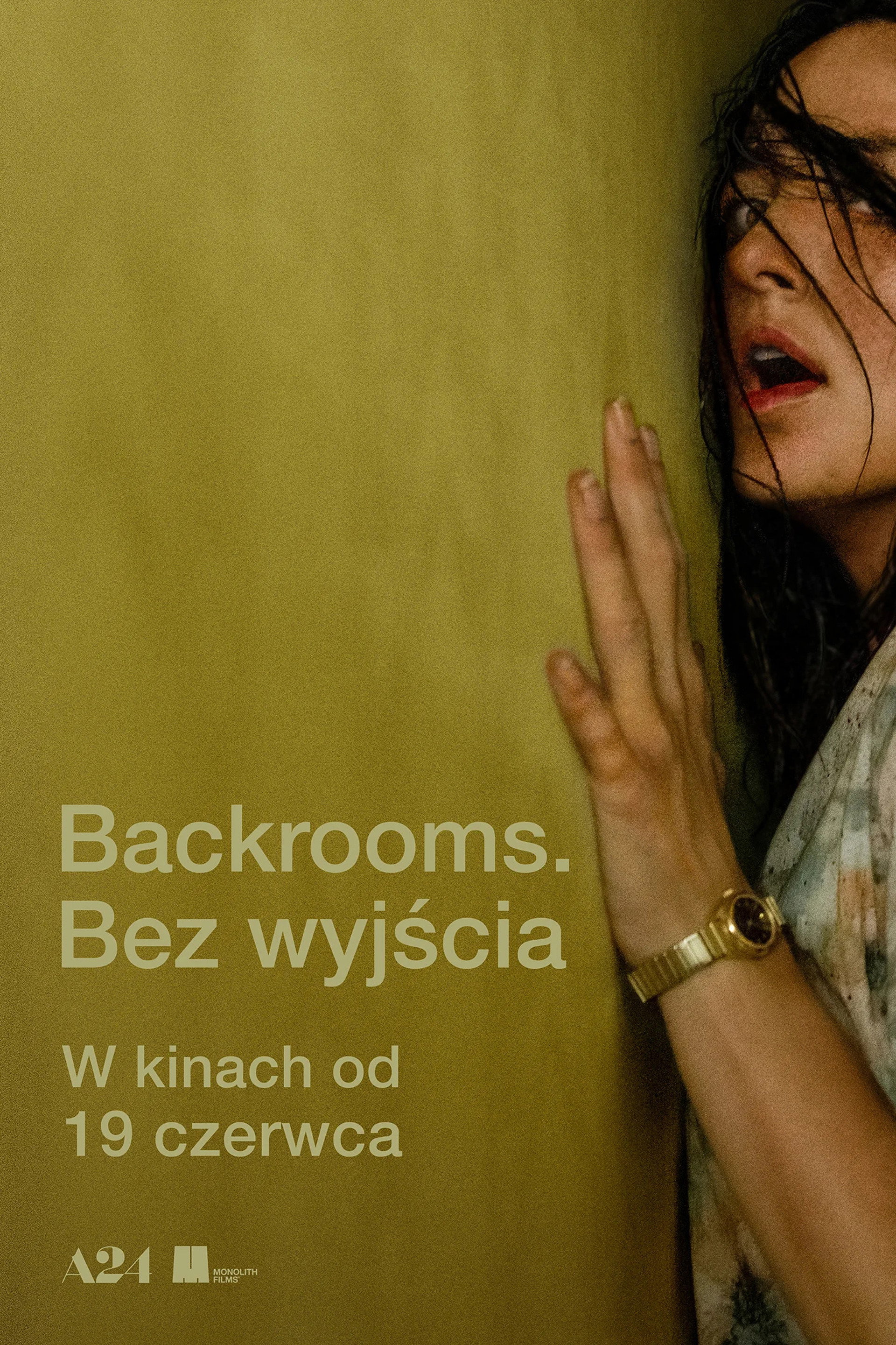Backrooms. Bez wyjścia