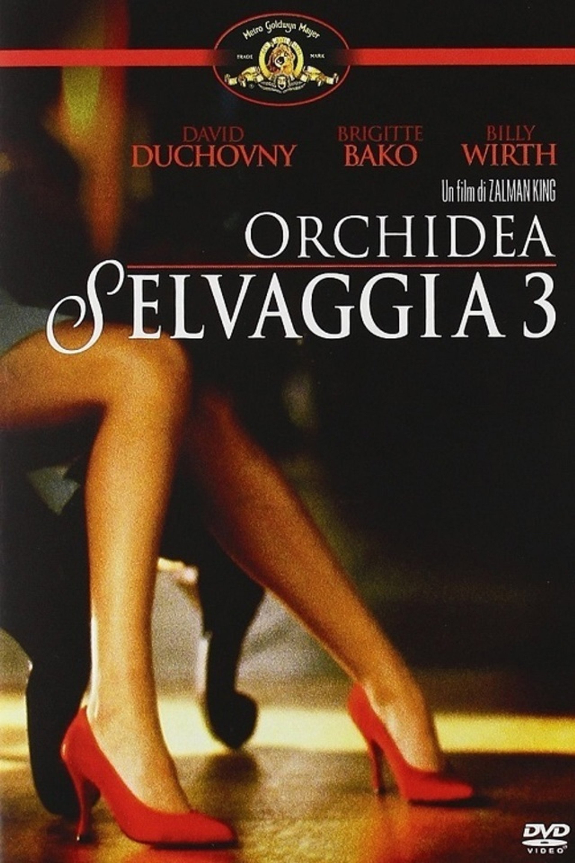 Orchidea selvaggia 3