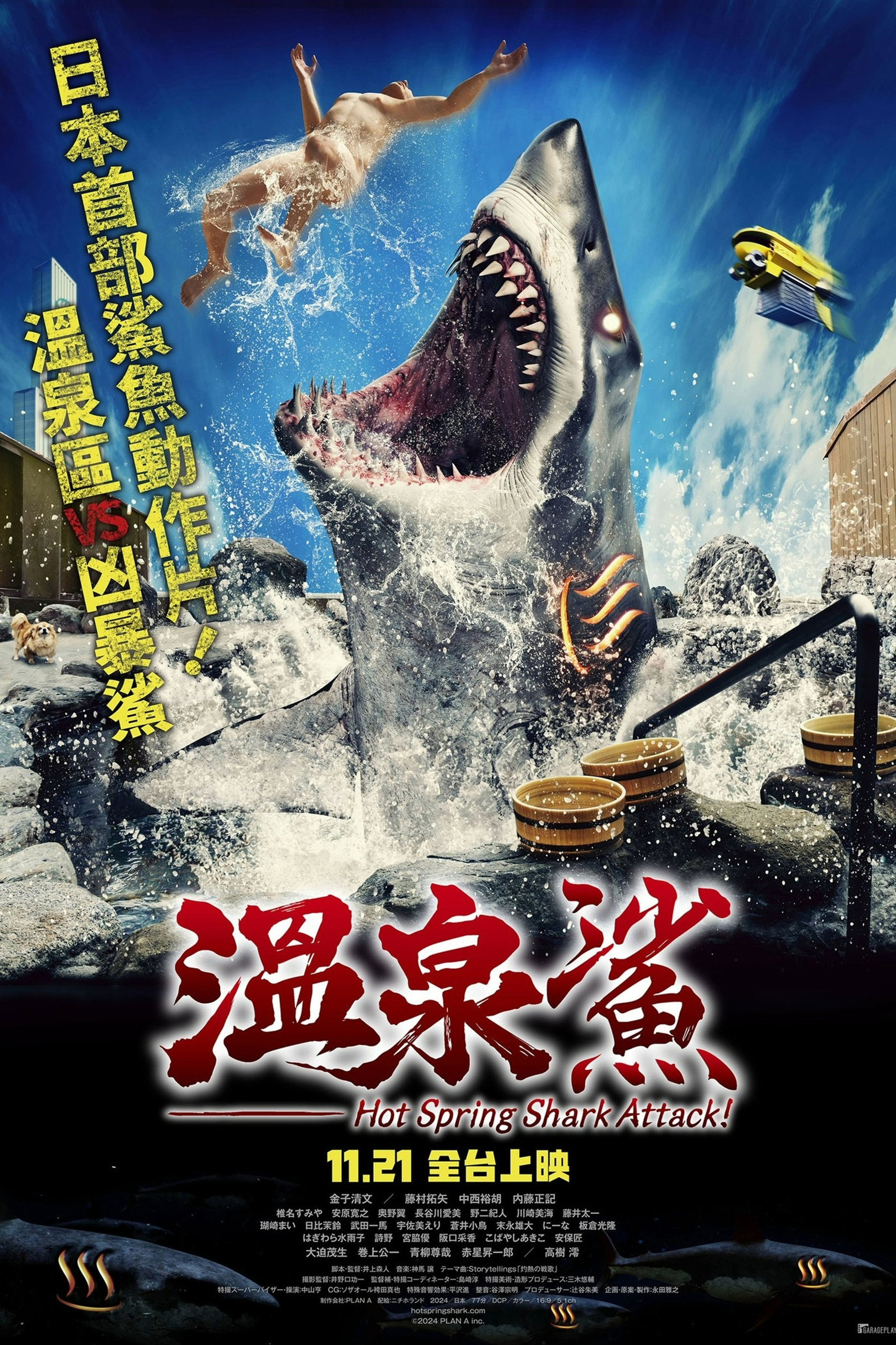 温泉鲨