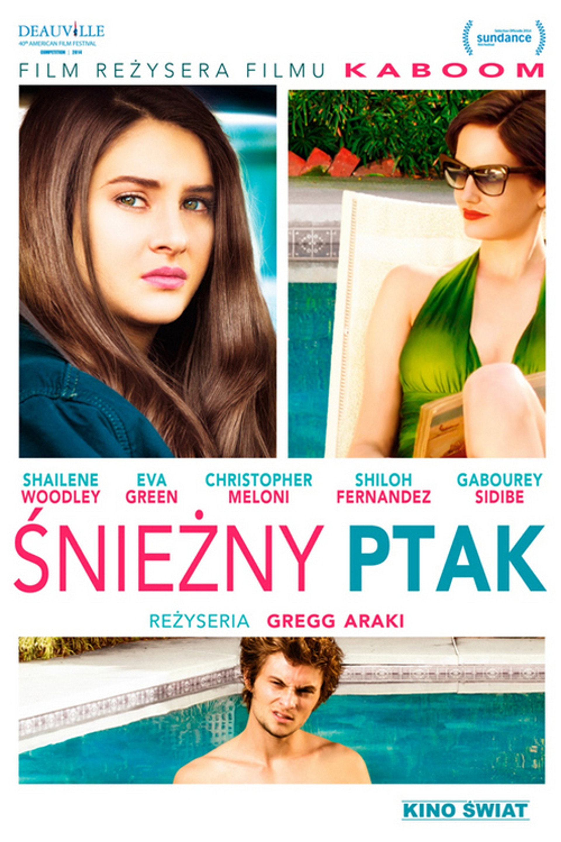 Śnieżny ptak