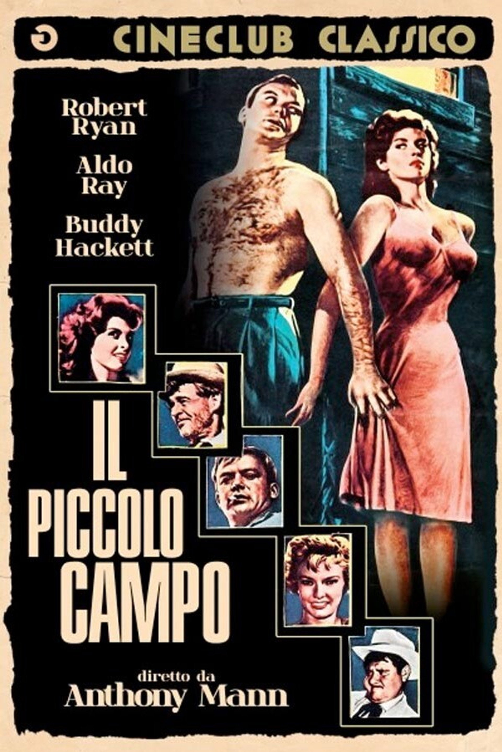 Il piccolo campo