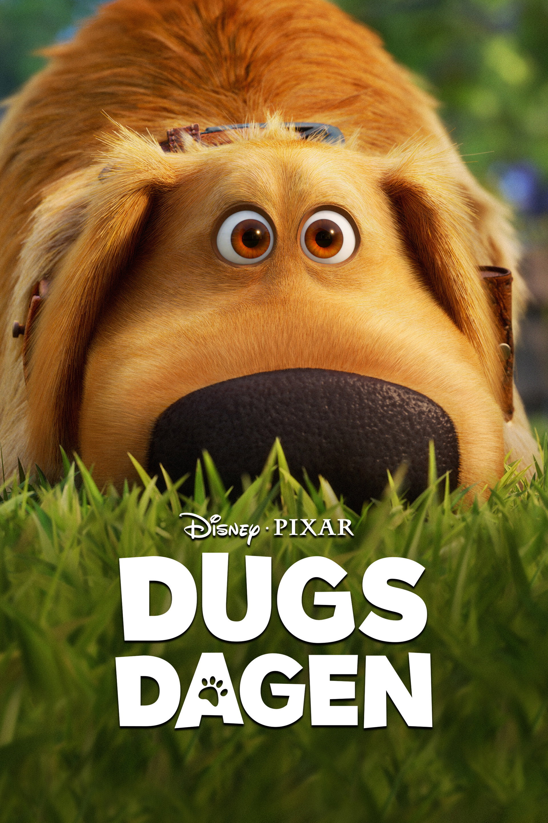 Dugs Dagen