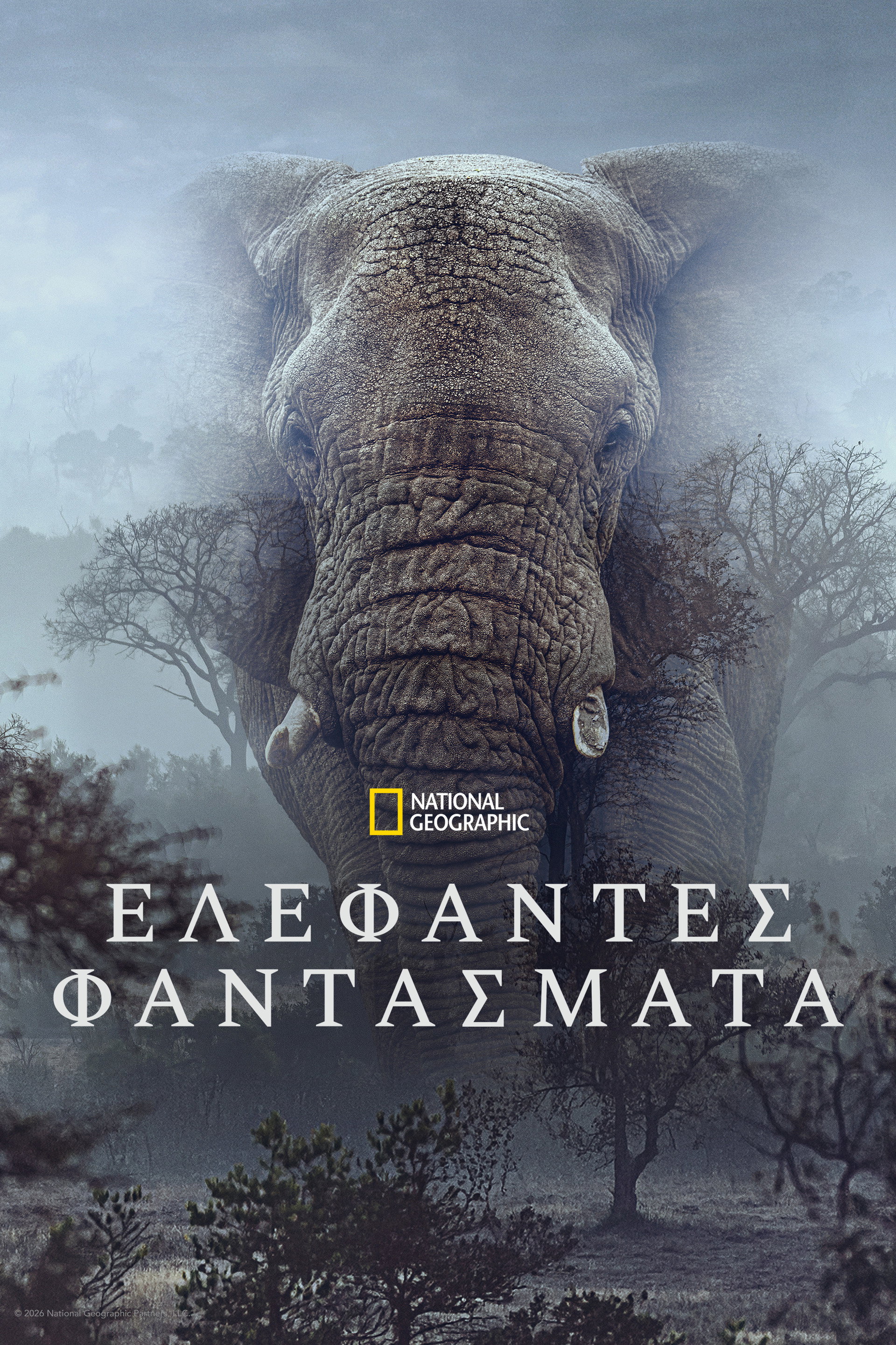 Ghost Elephants