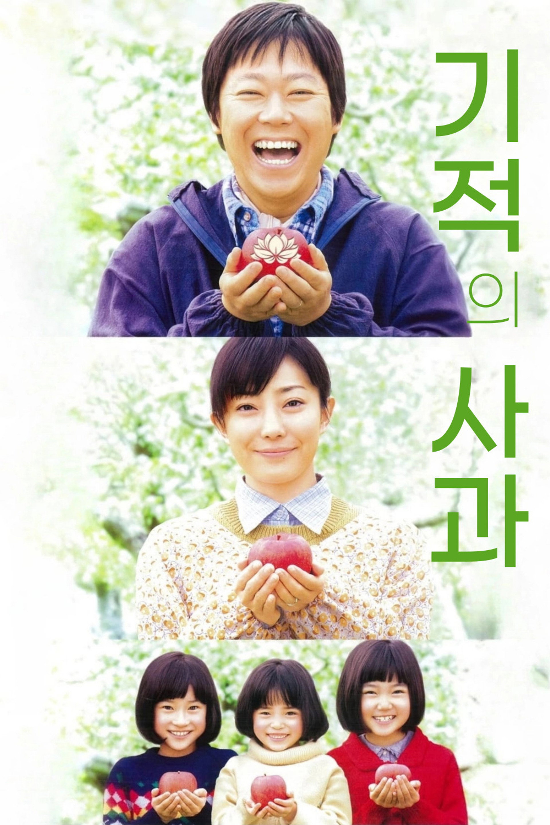 기적의 사과