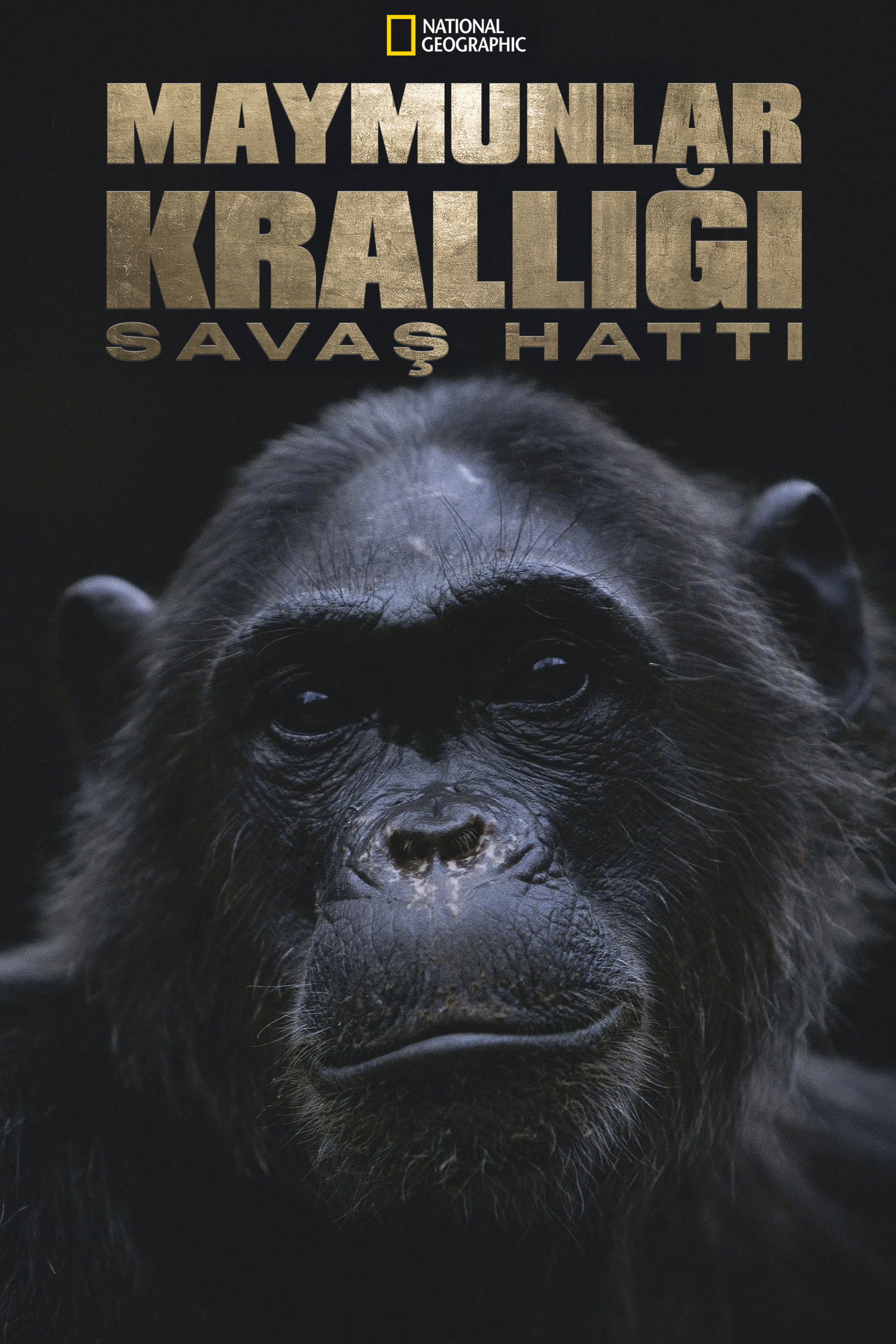Maymunlar Krallığı: Savaş Hattı