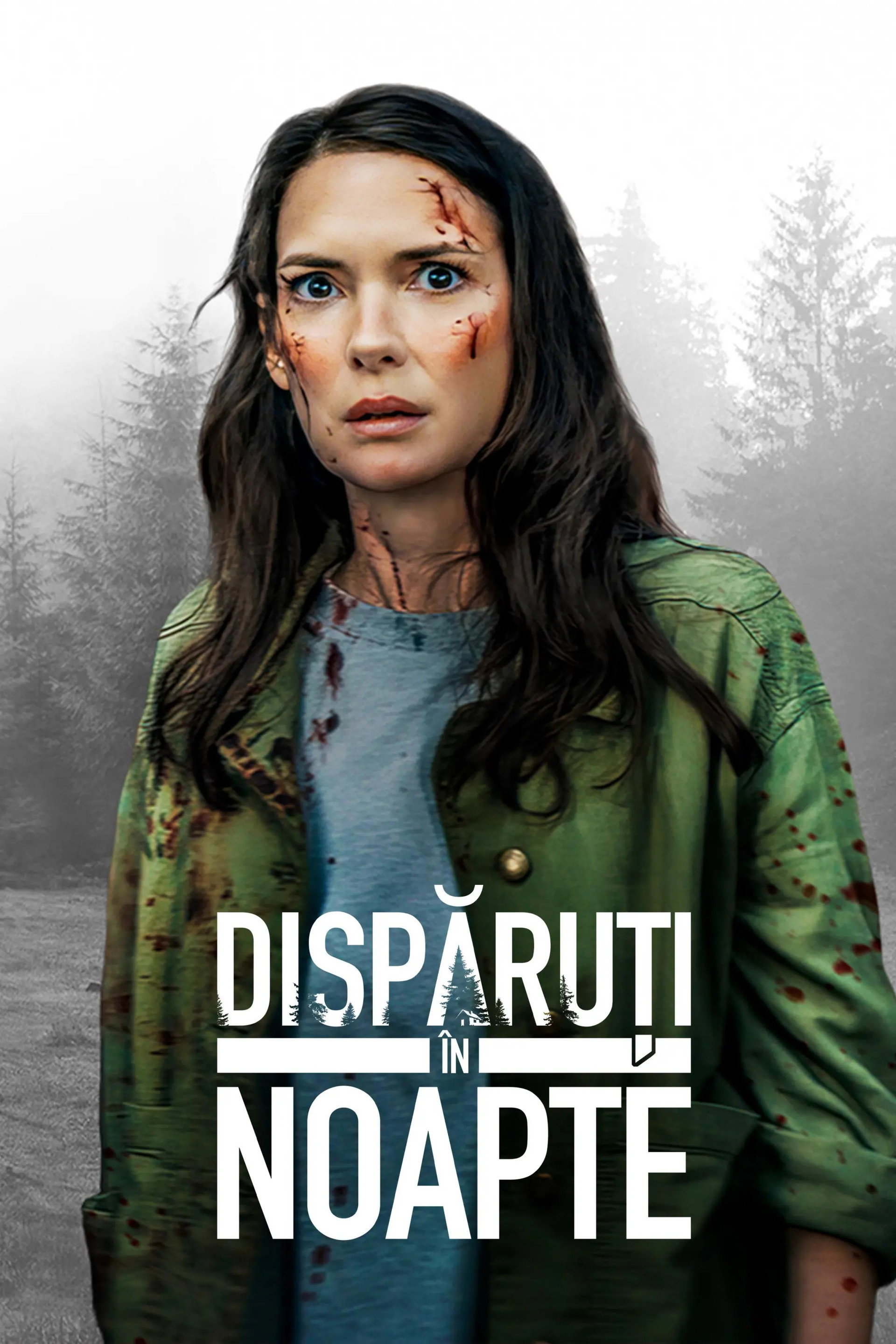 Dispăruți în noapte