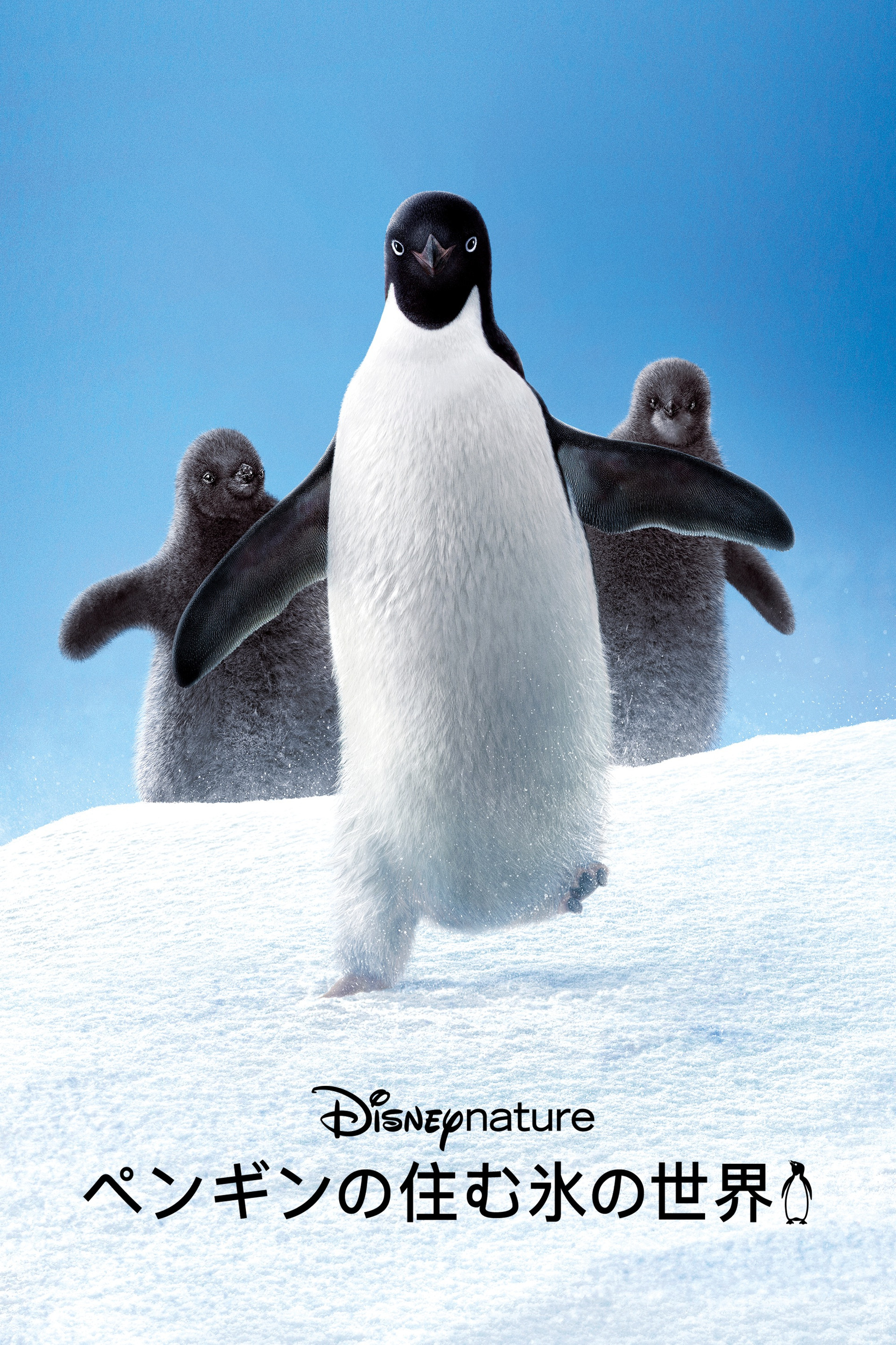 ペンギンの住む氷の世界