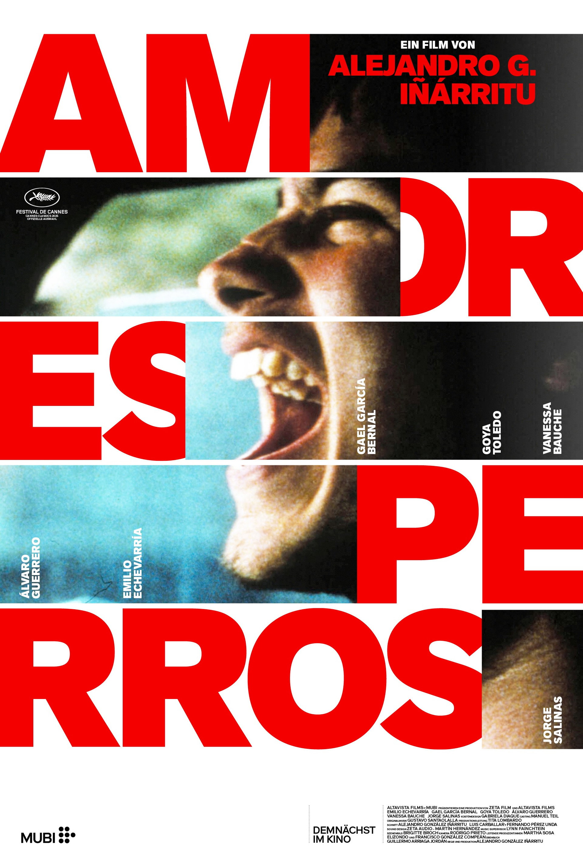 Amores perros
