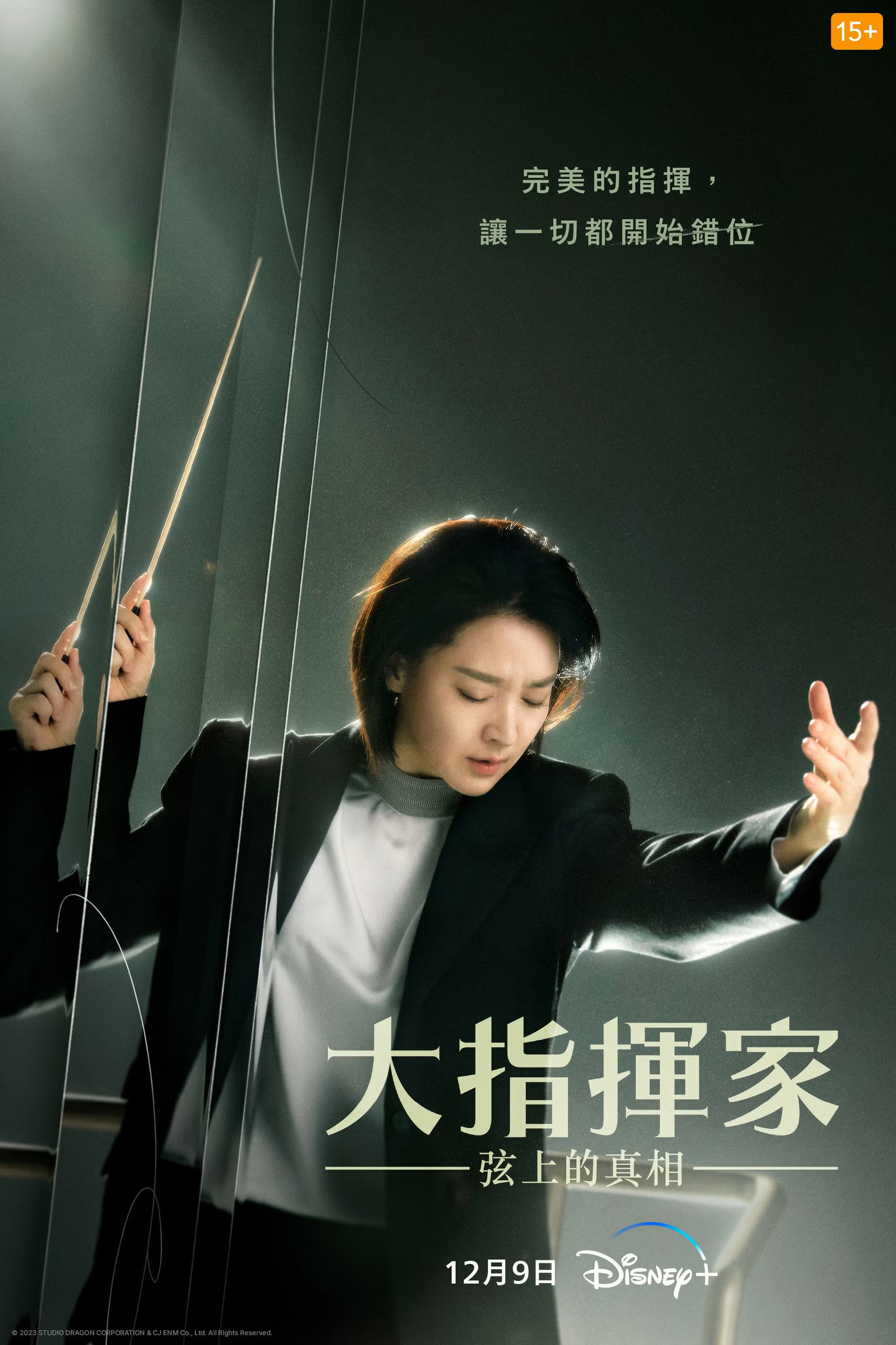 大指挥家：弦上的真相