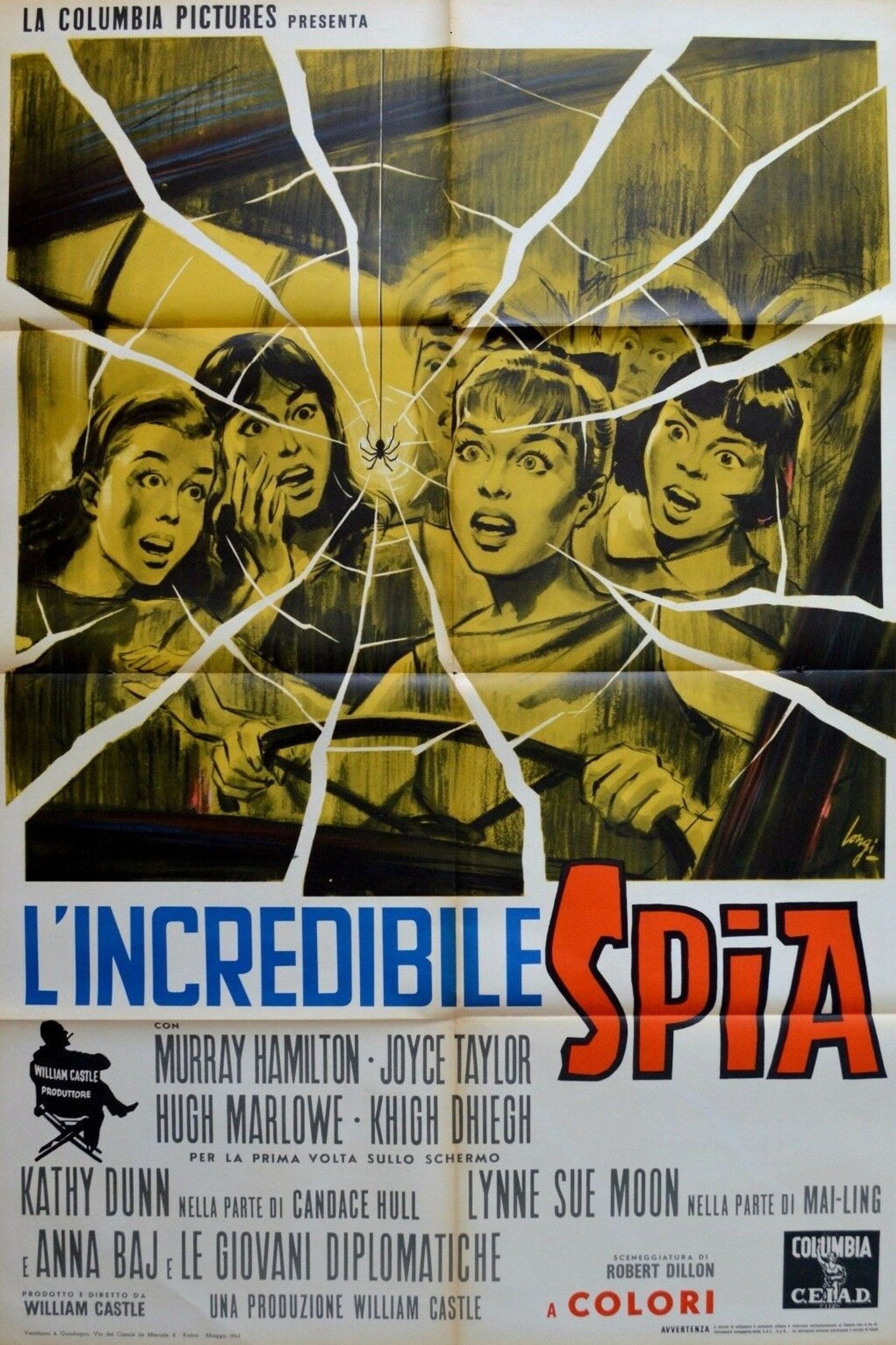 L'incredibile spia