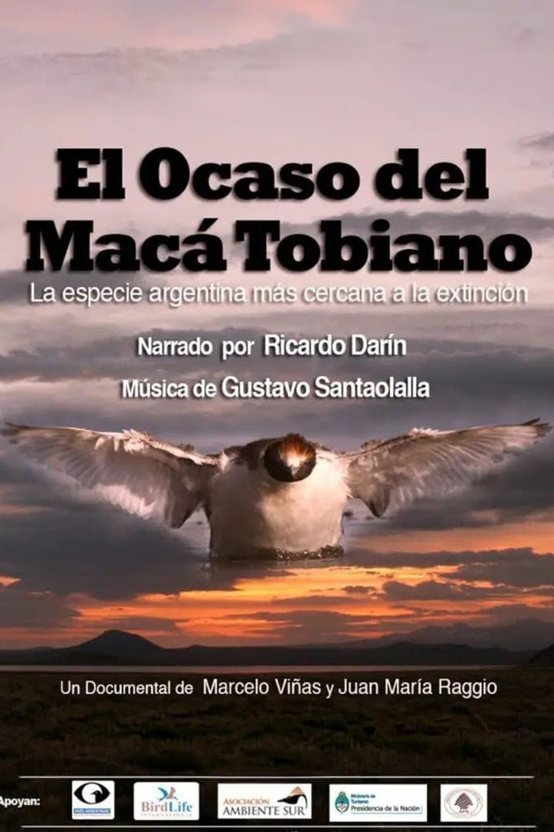El Ocaso del Macá Tobiano