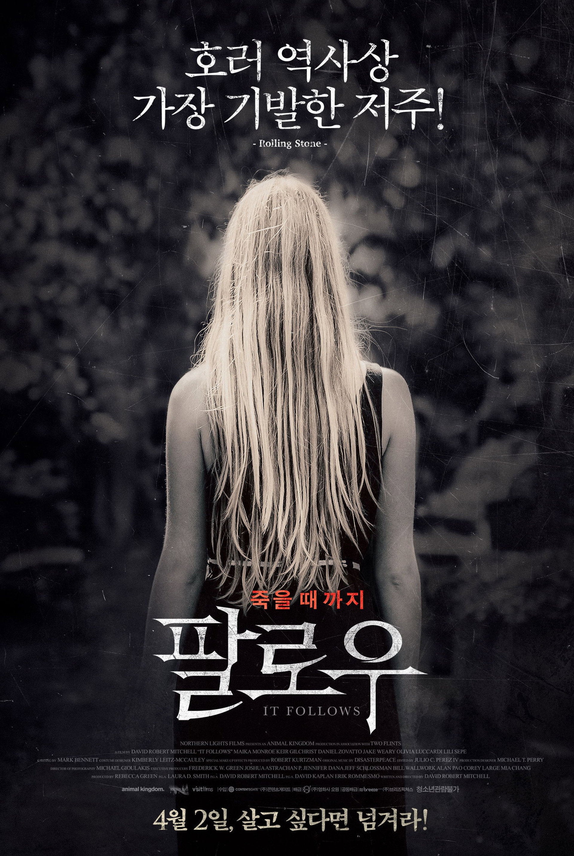 팔로우