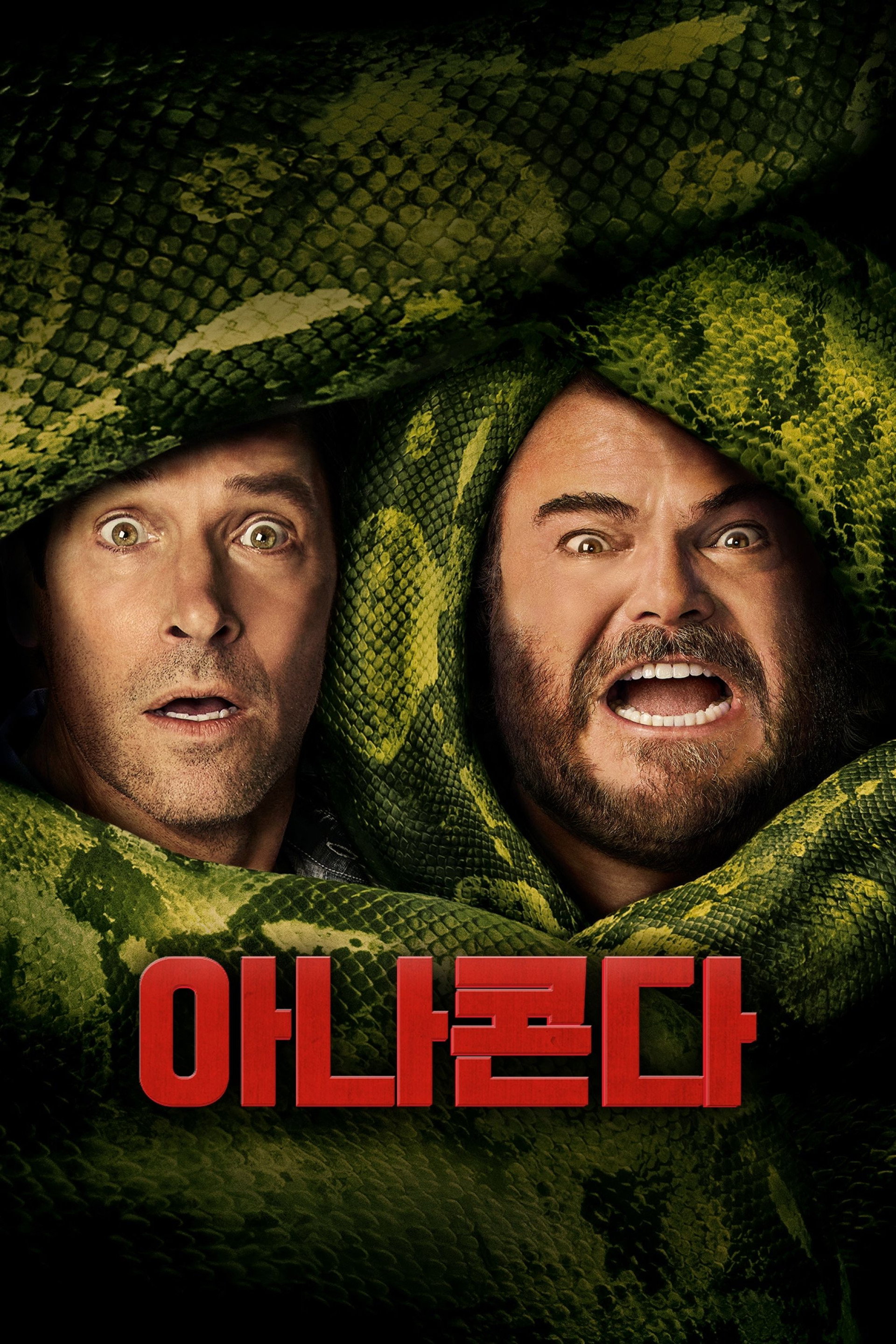 아나콘다