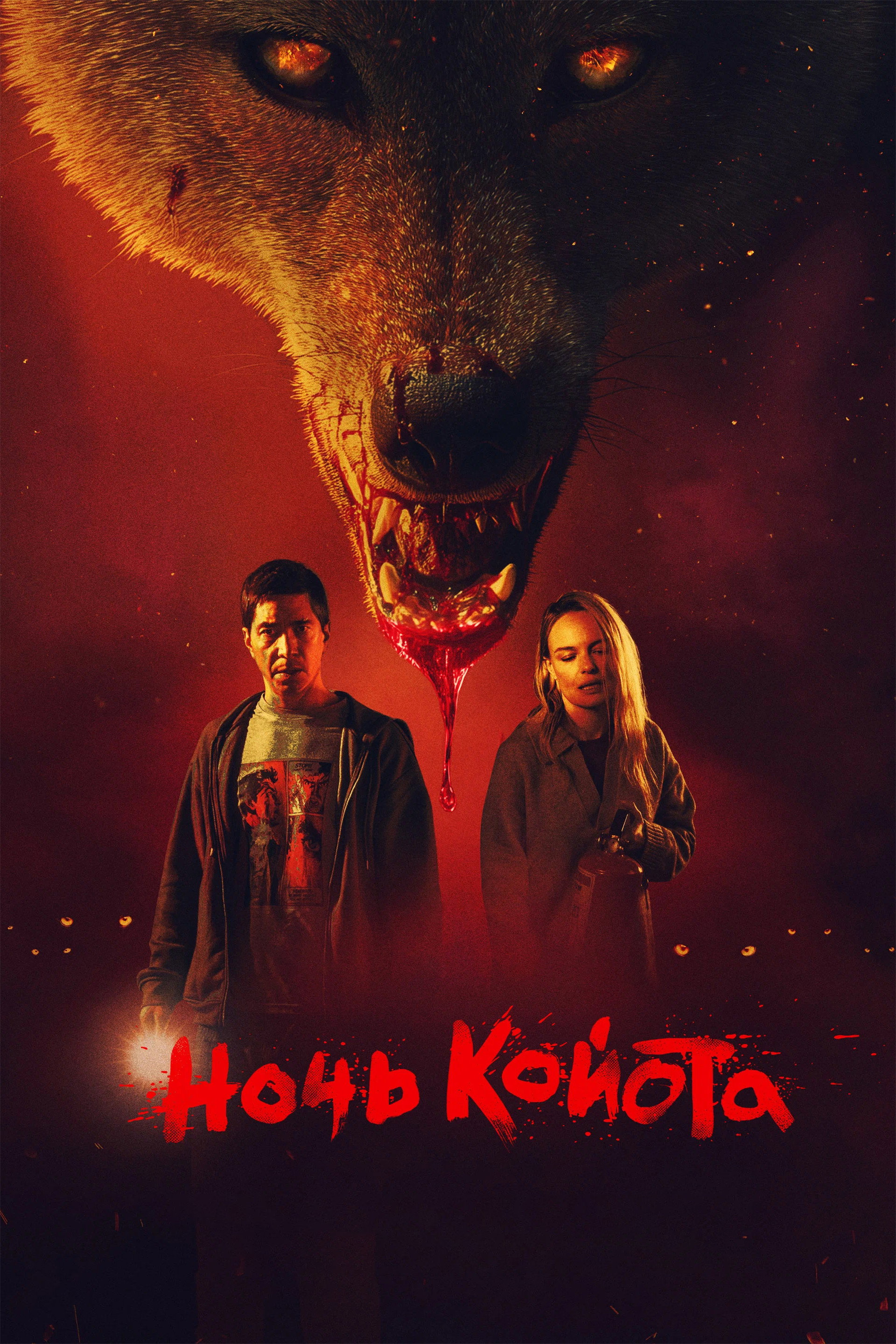 Ночь койота
