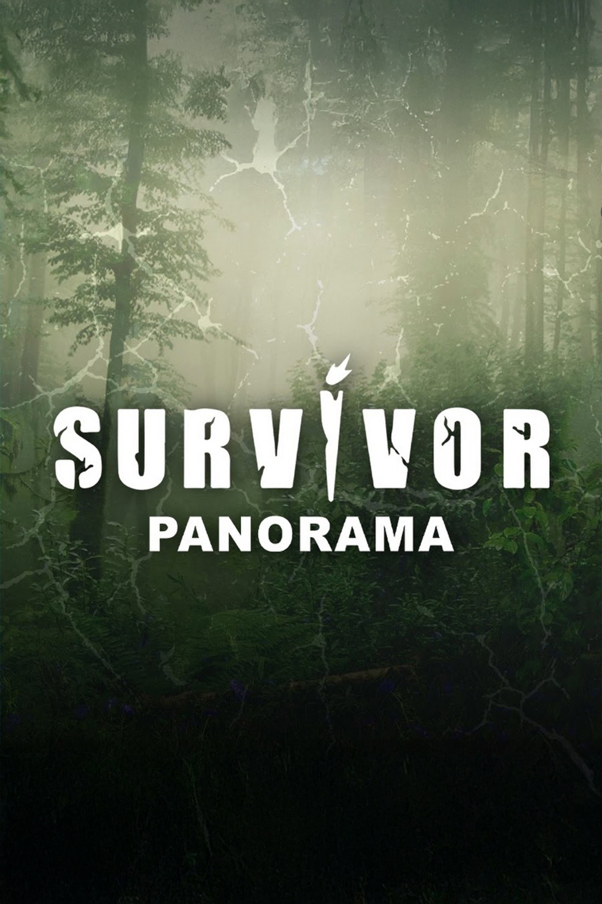 Survivor Panorama