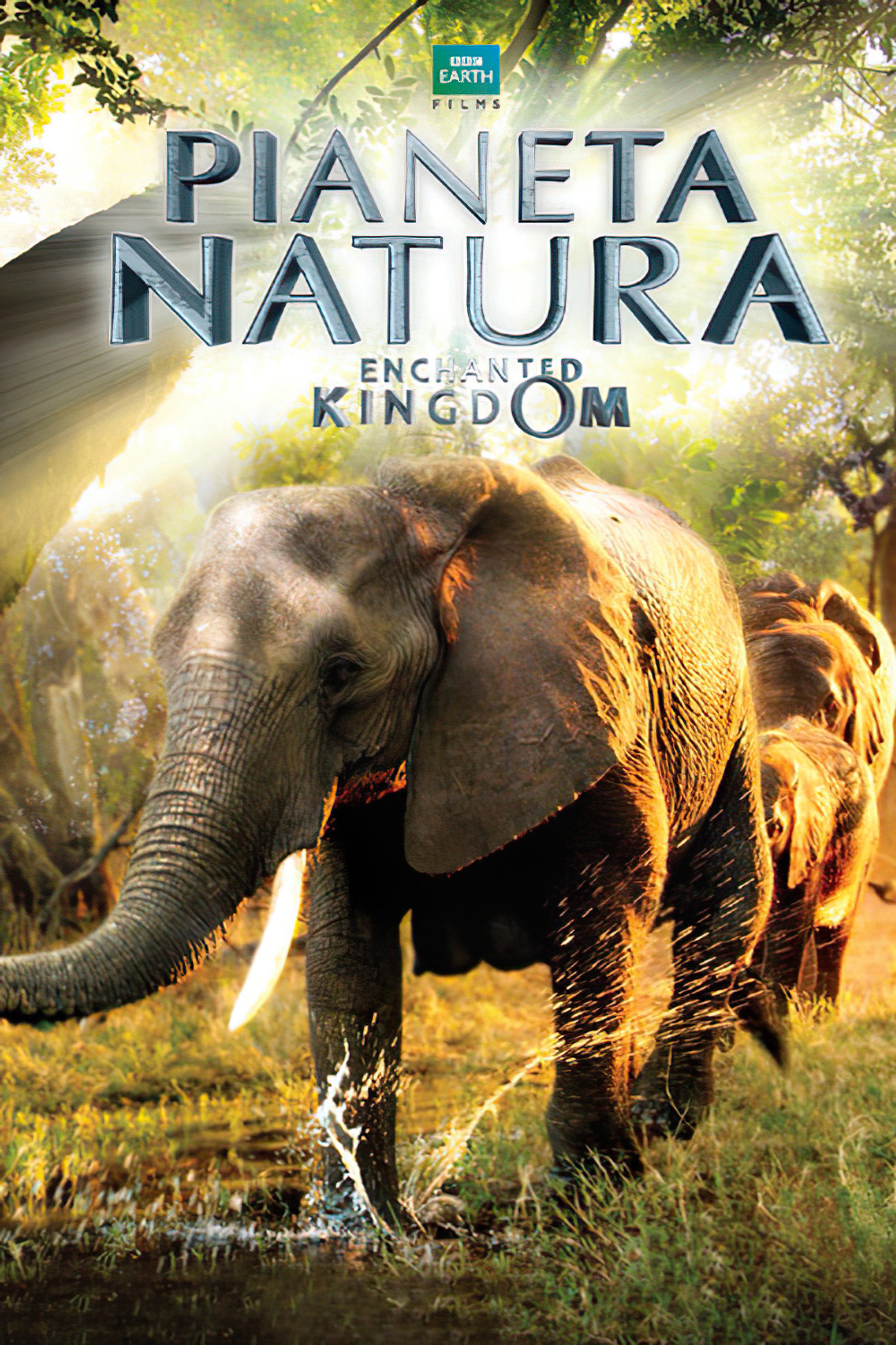 Pianeta Natura - Enchanted Kingdom