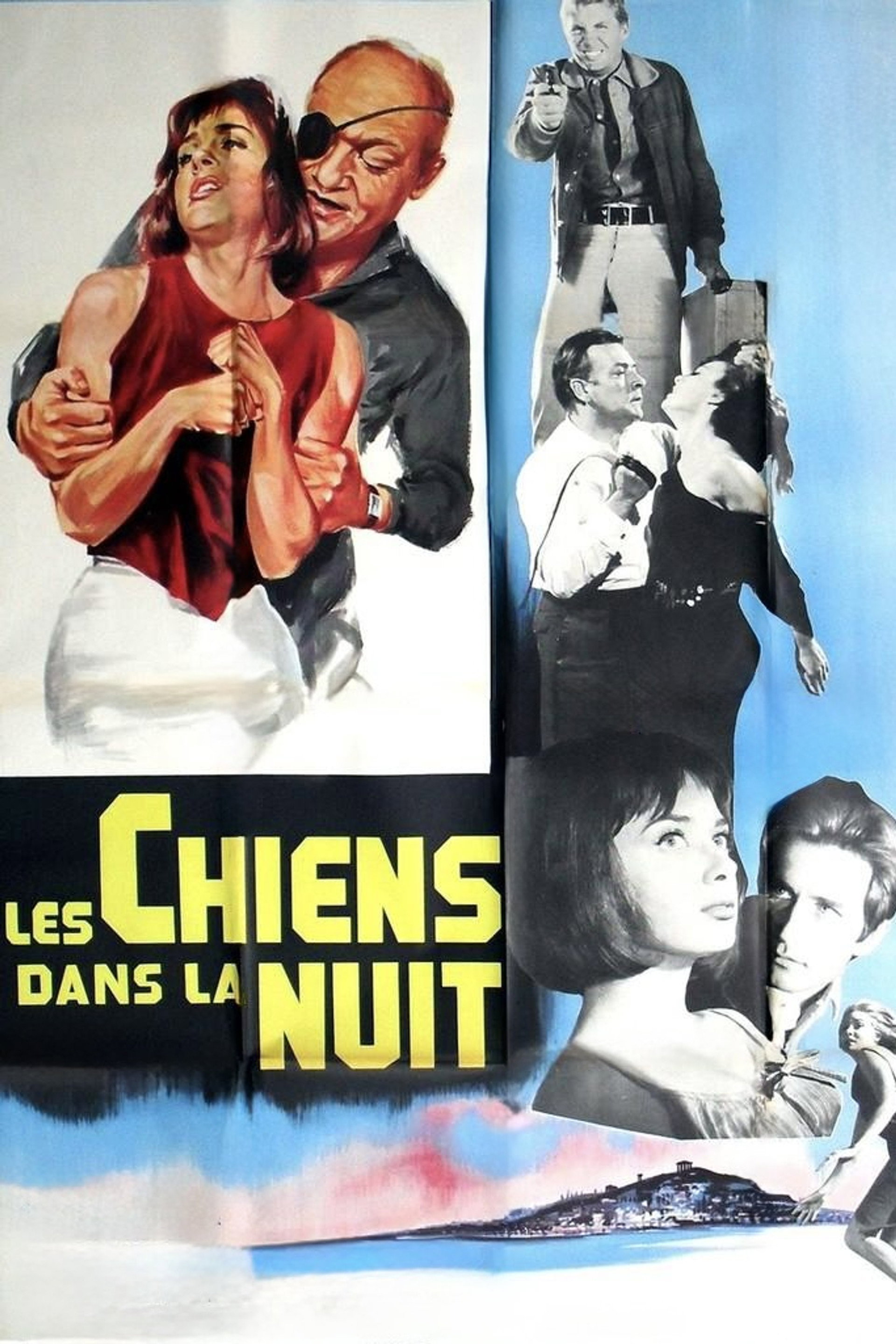 Les chiens dans la nuit