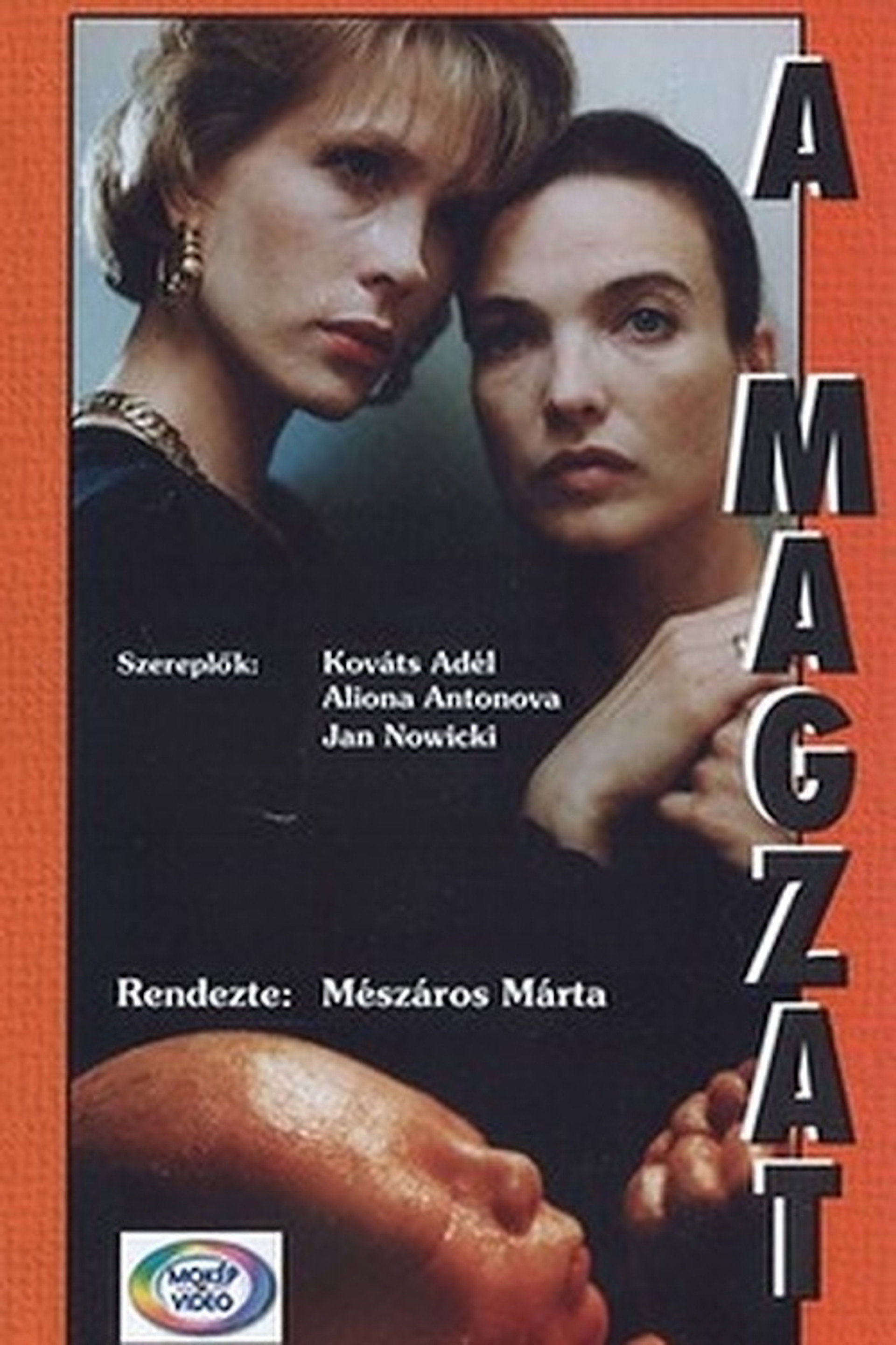 A magzat