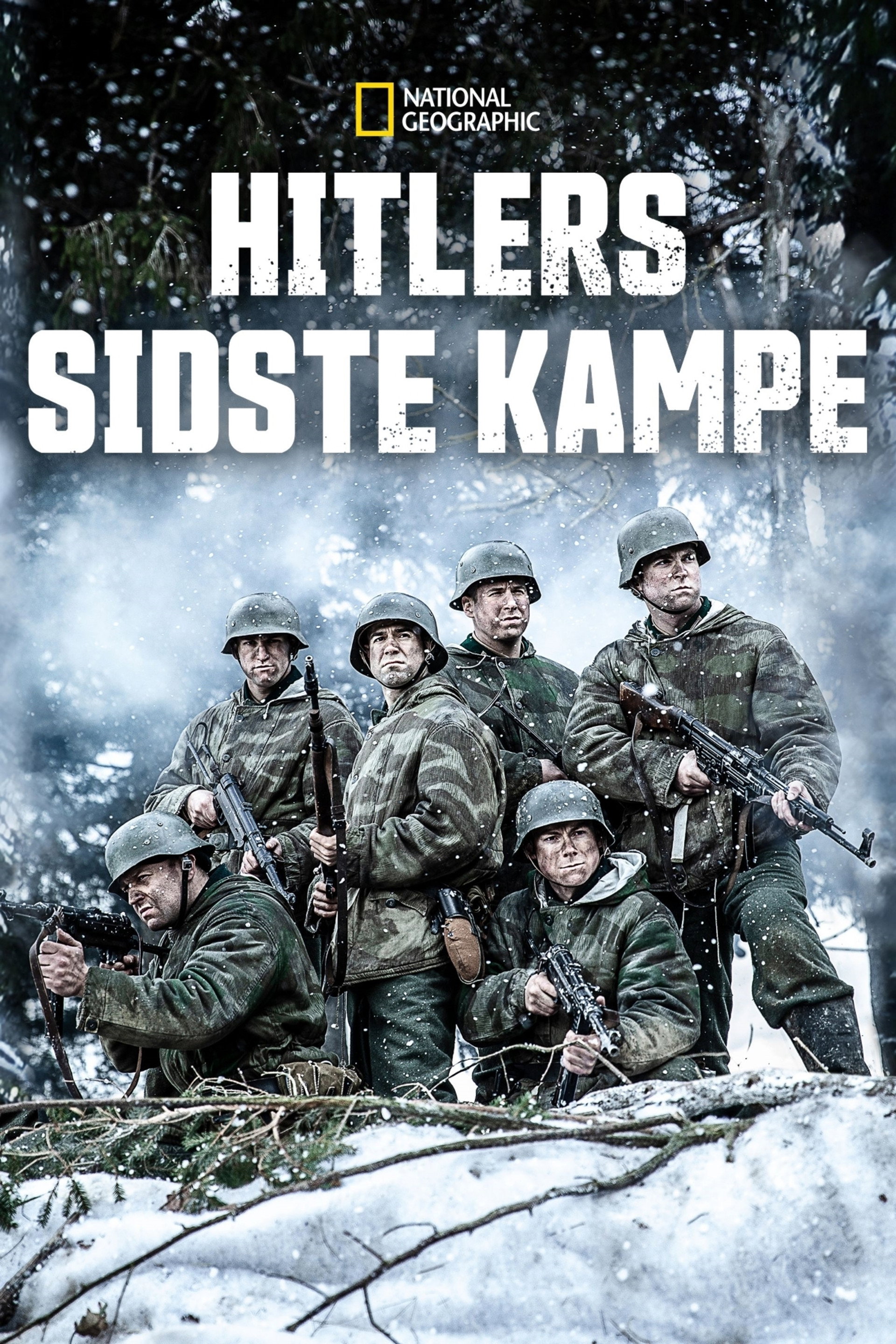 Hitlers sidste kampe